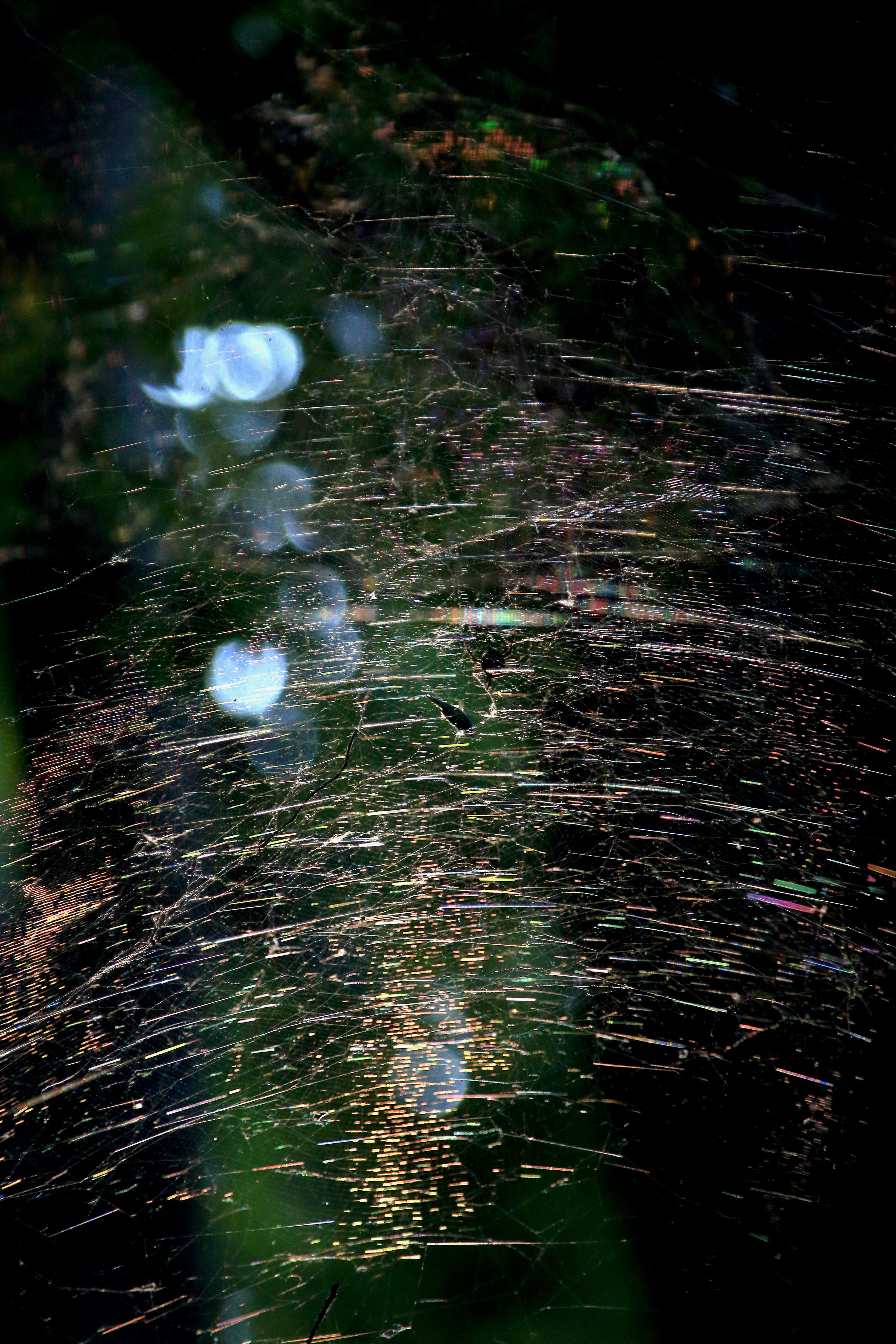 Gouttes d'eau se dispersant avec des reflets de lumière sur un fond vert