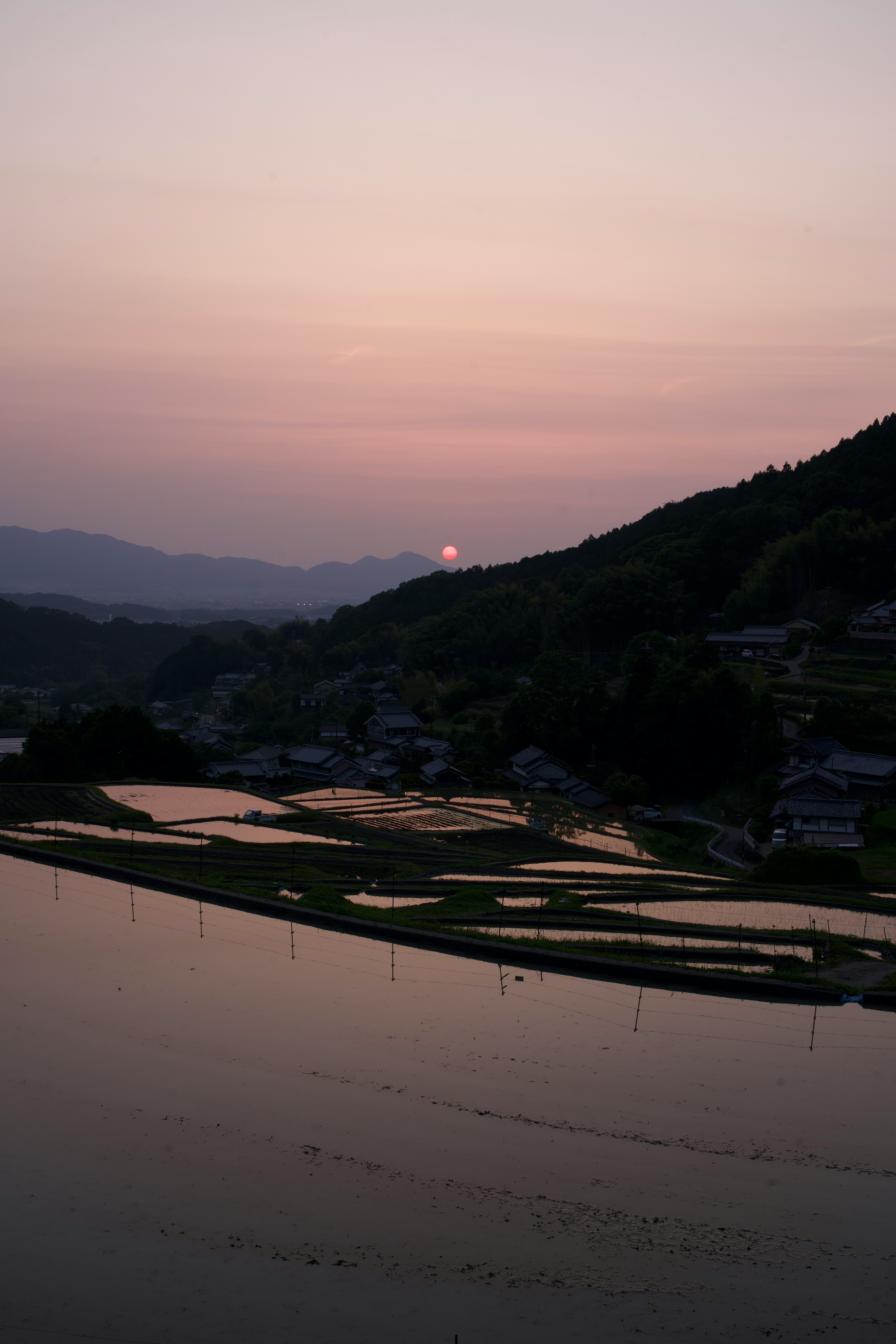 Landscape of rice fields and mountains during sunset