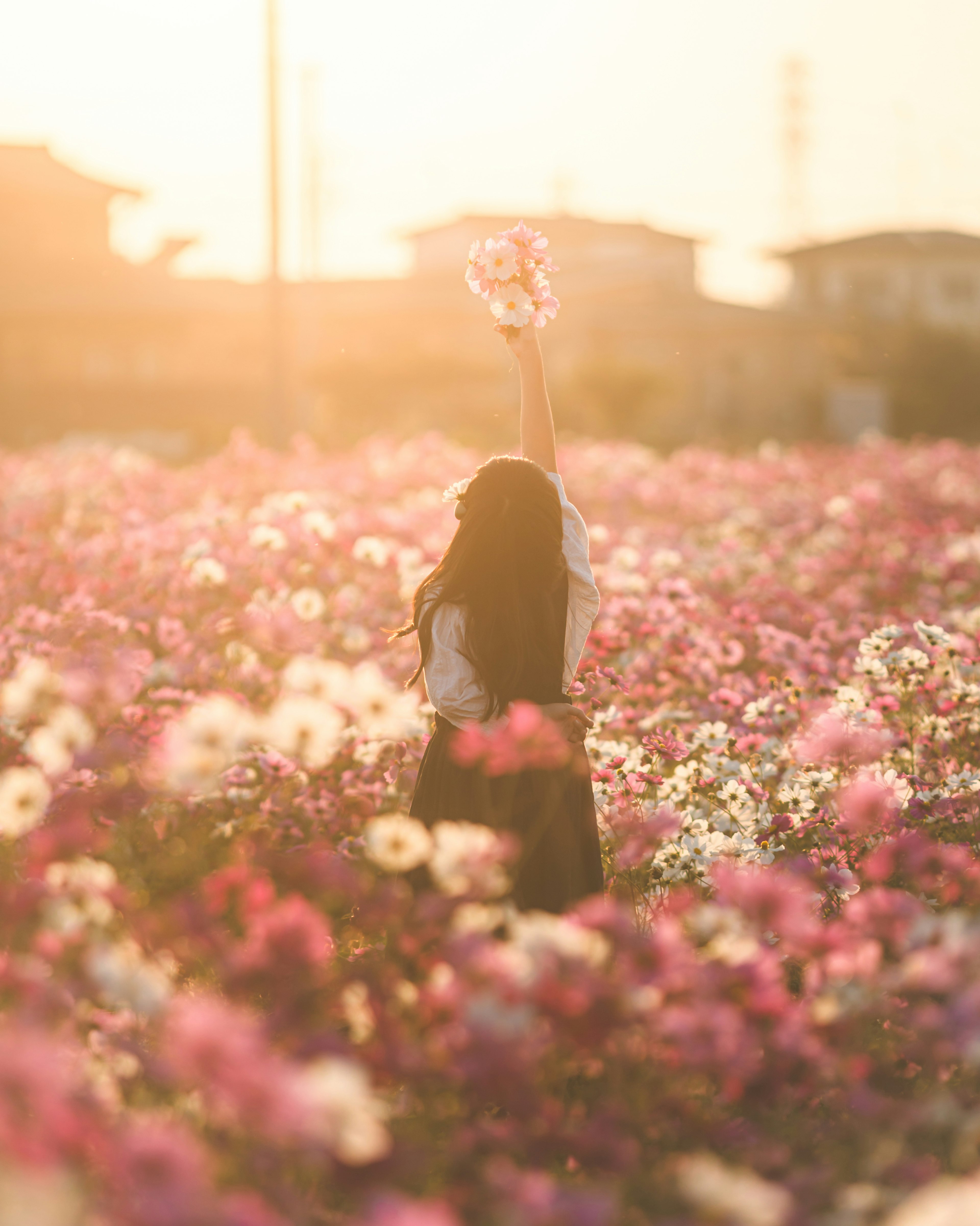 夕日を背景に花畑で花を持つ女性