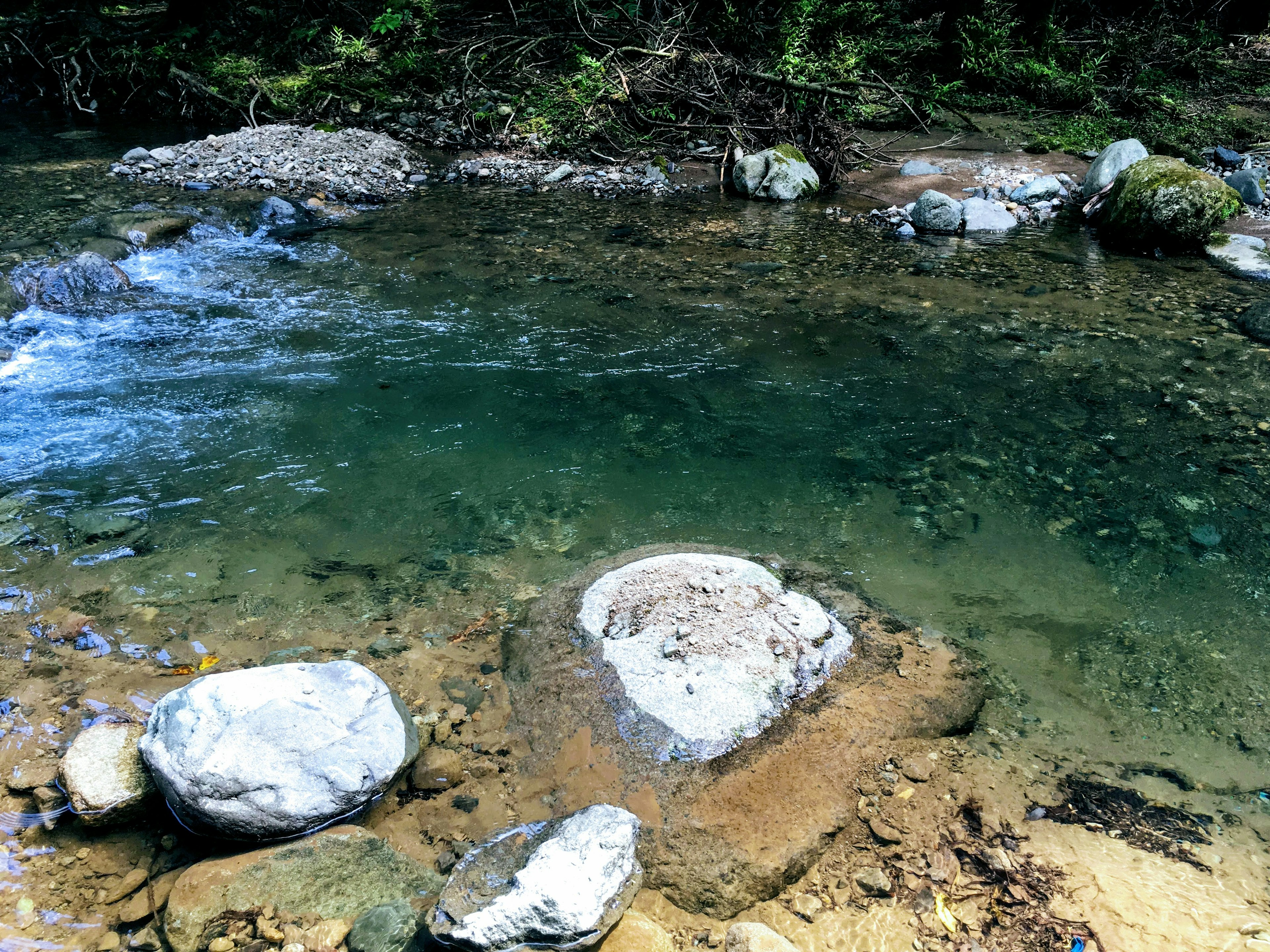 Klarer Wasserlauf mit Steinen in einer natürlichen Umgebung