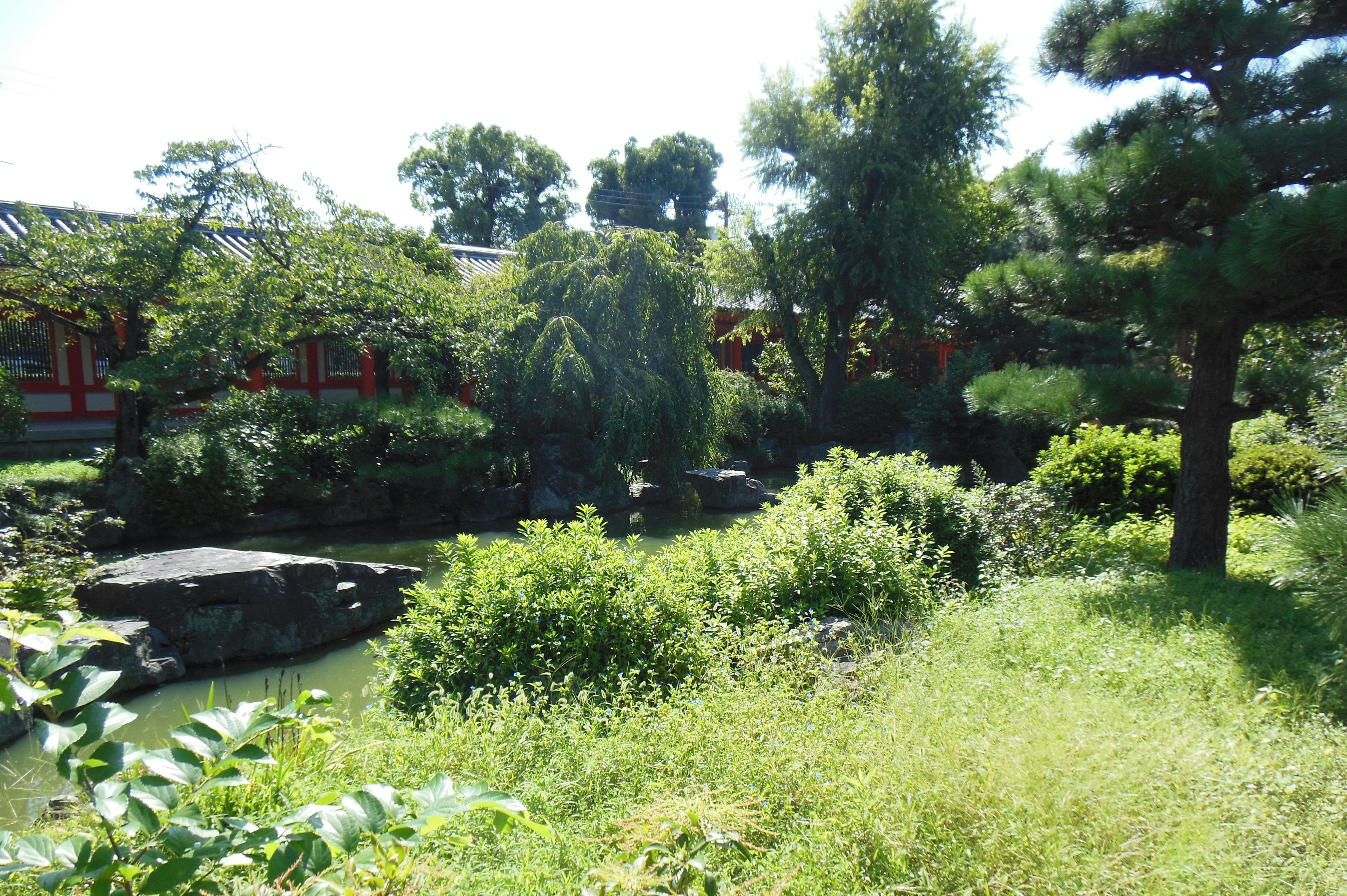 Scena di giardino lussureggiante con rocce e varie piante e una superficie d'acqua tranquilla