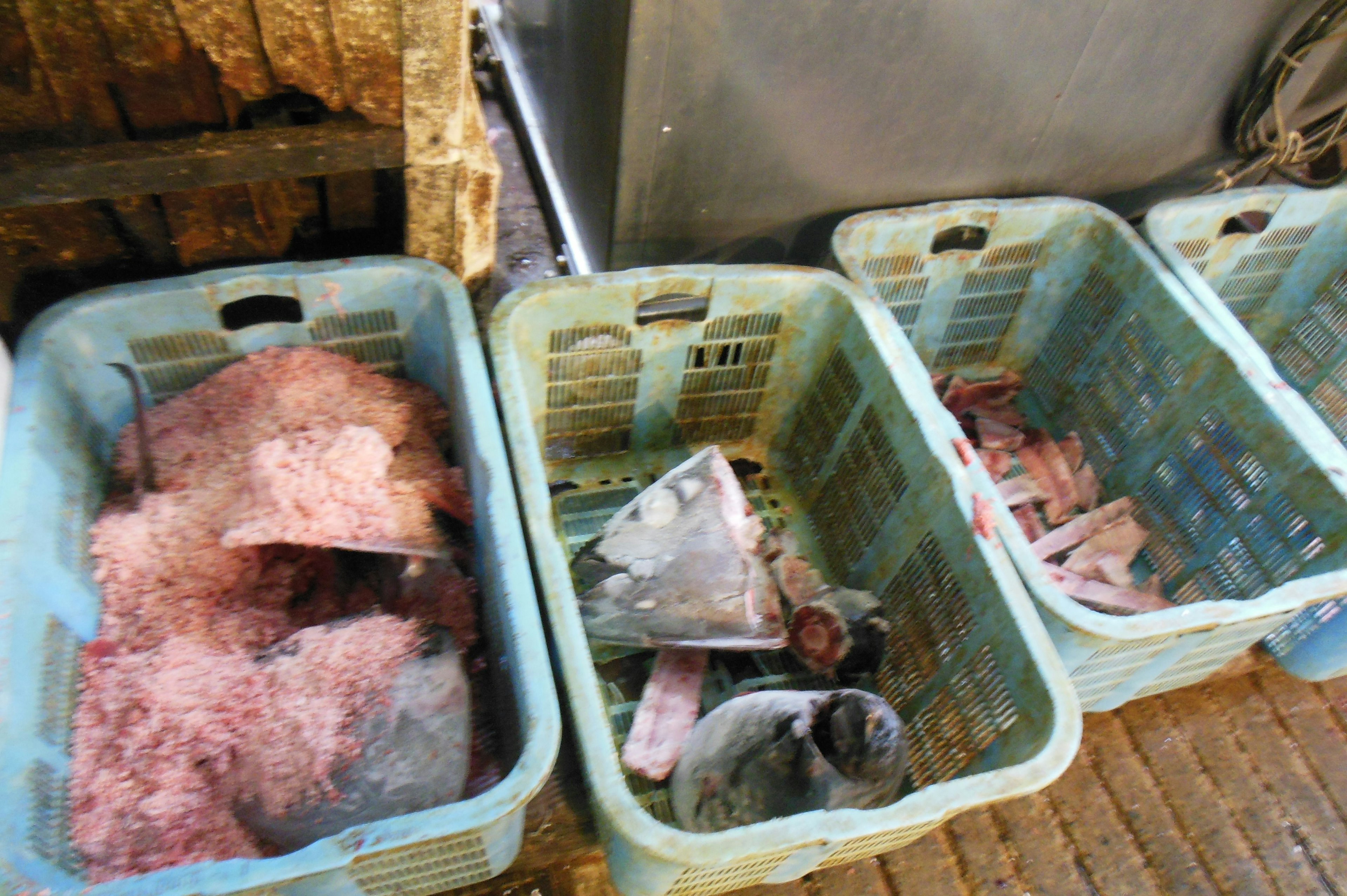 Multiple blue baskets filled with meat scraps and waste