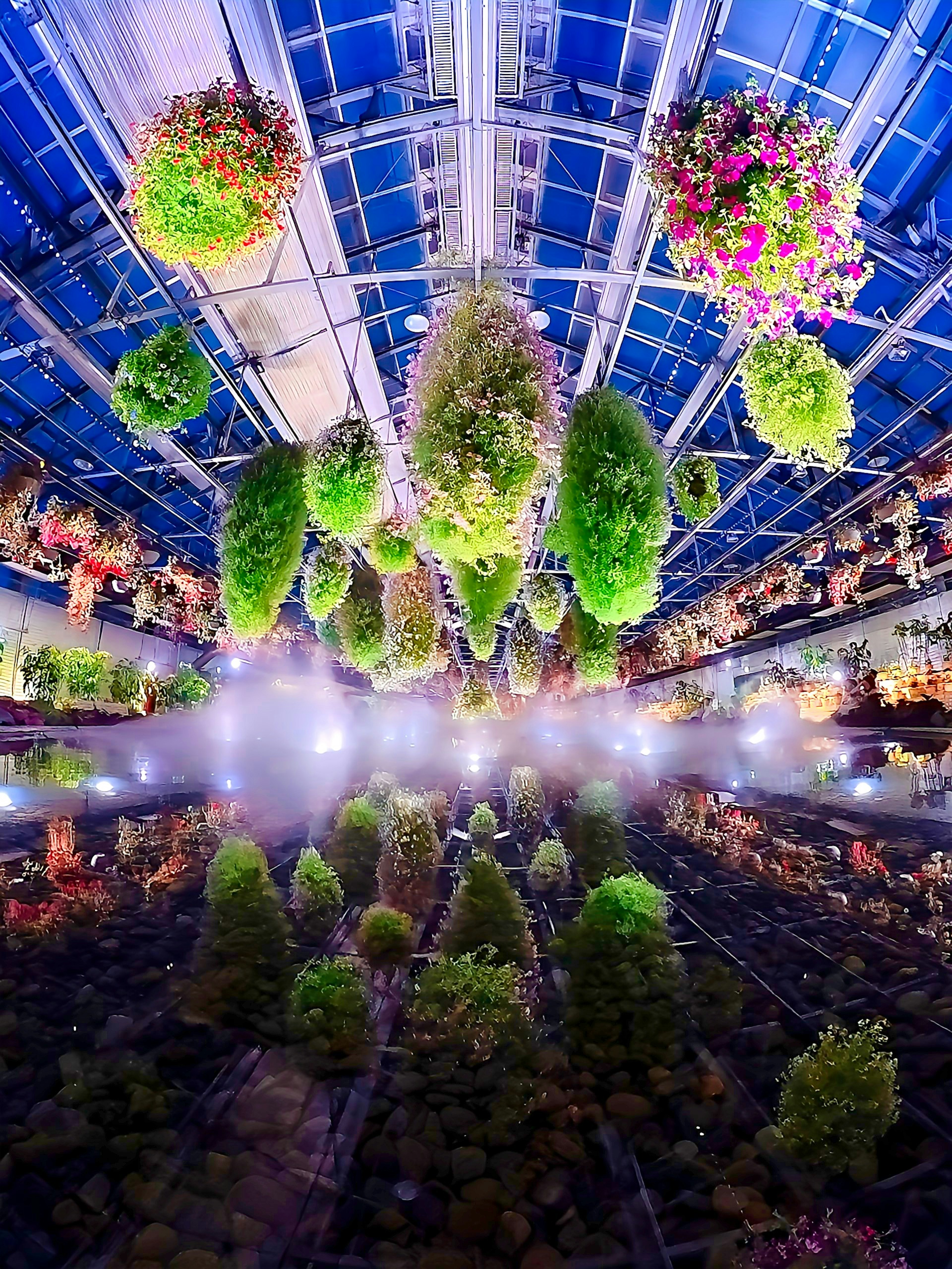 Hermosa exhibición de plantas verdes colgantes bajo un brillante techo azul