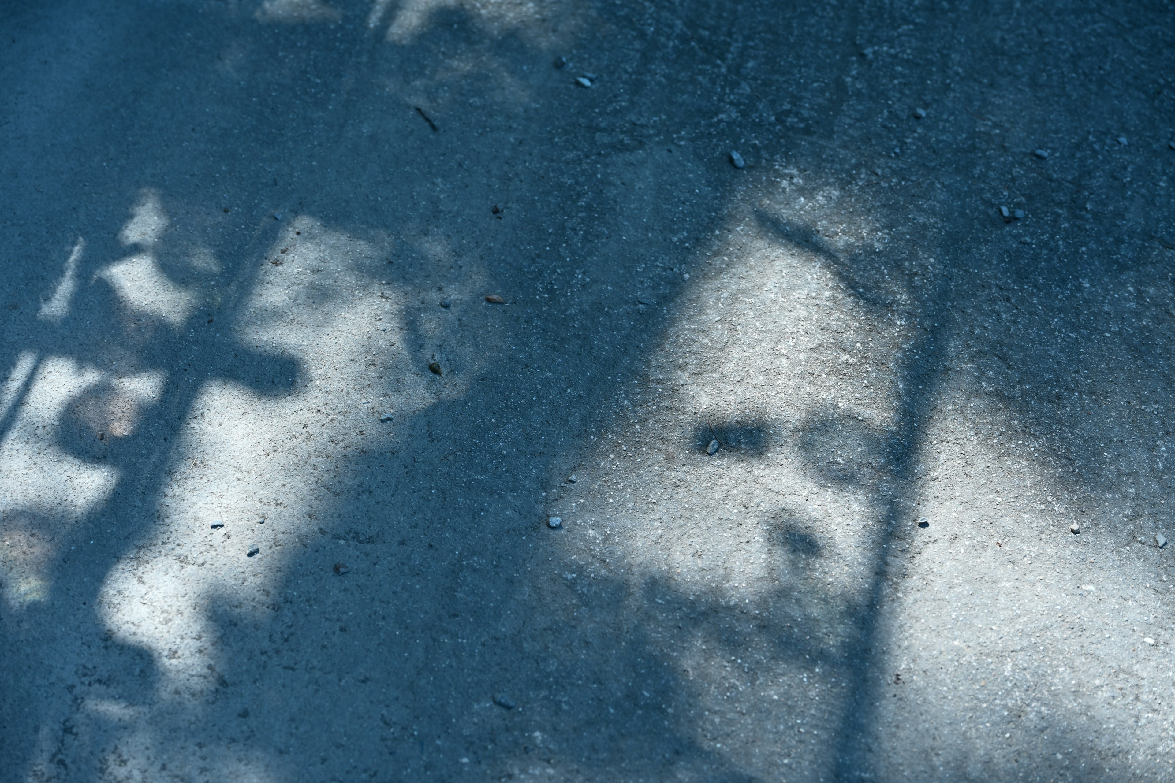 Unique silhouette of faces reflected against a blue background