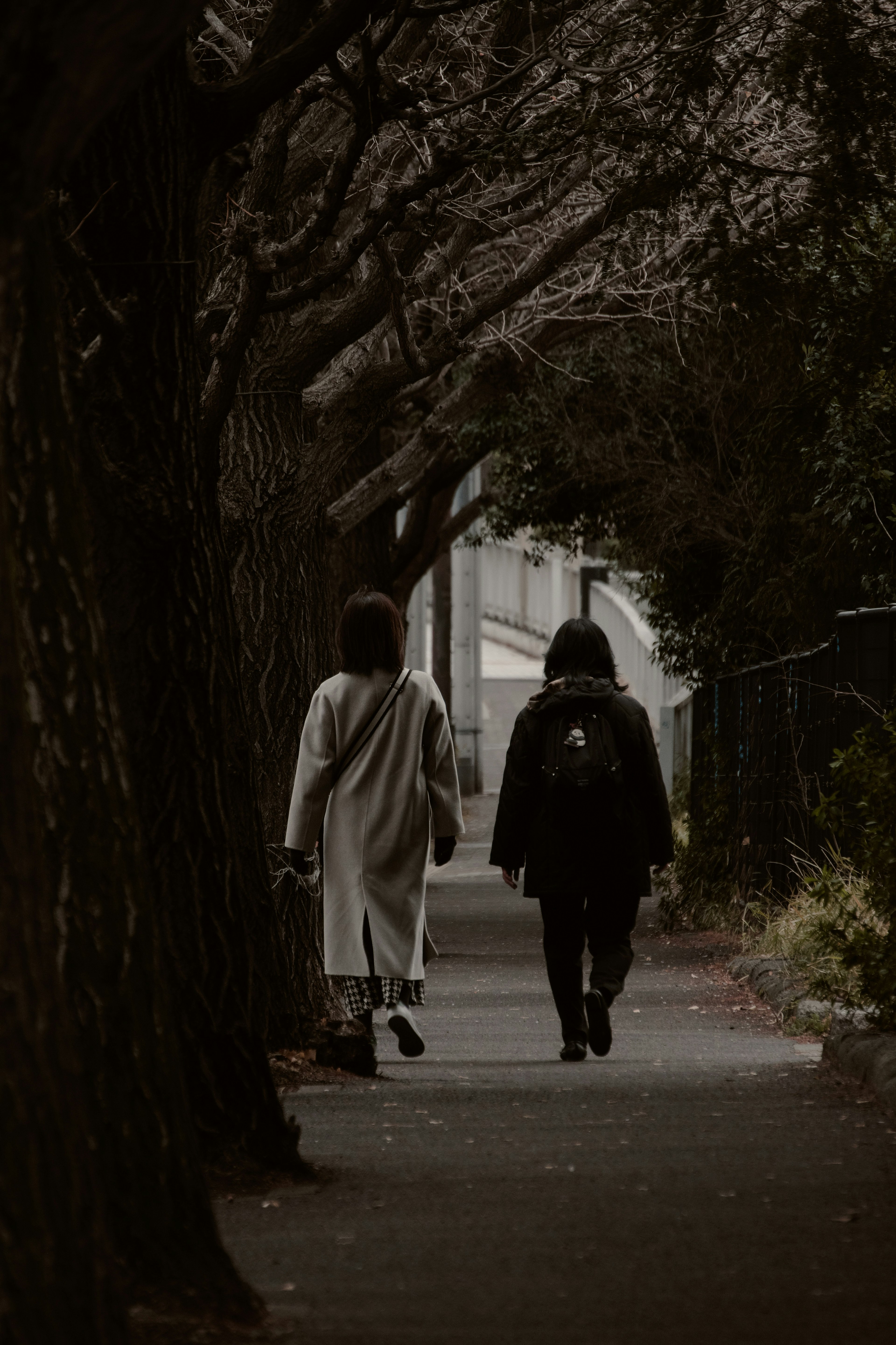 Dos personas caminando por un camino oscuro bordeado de árboles