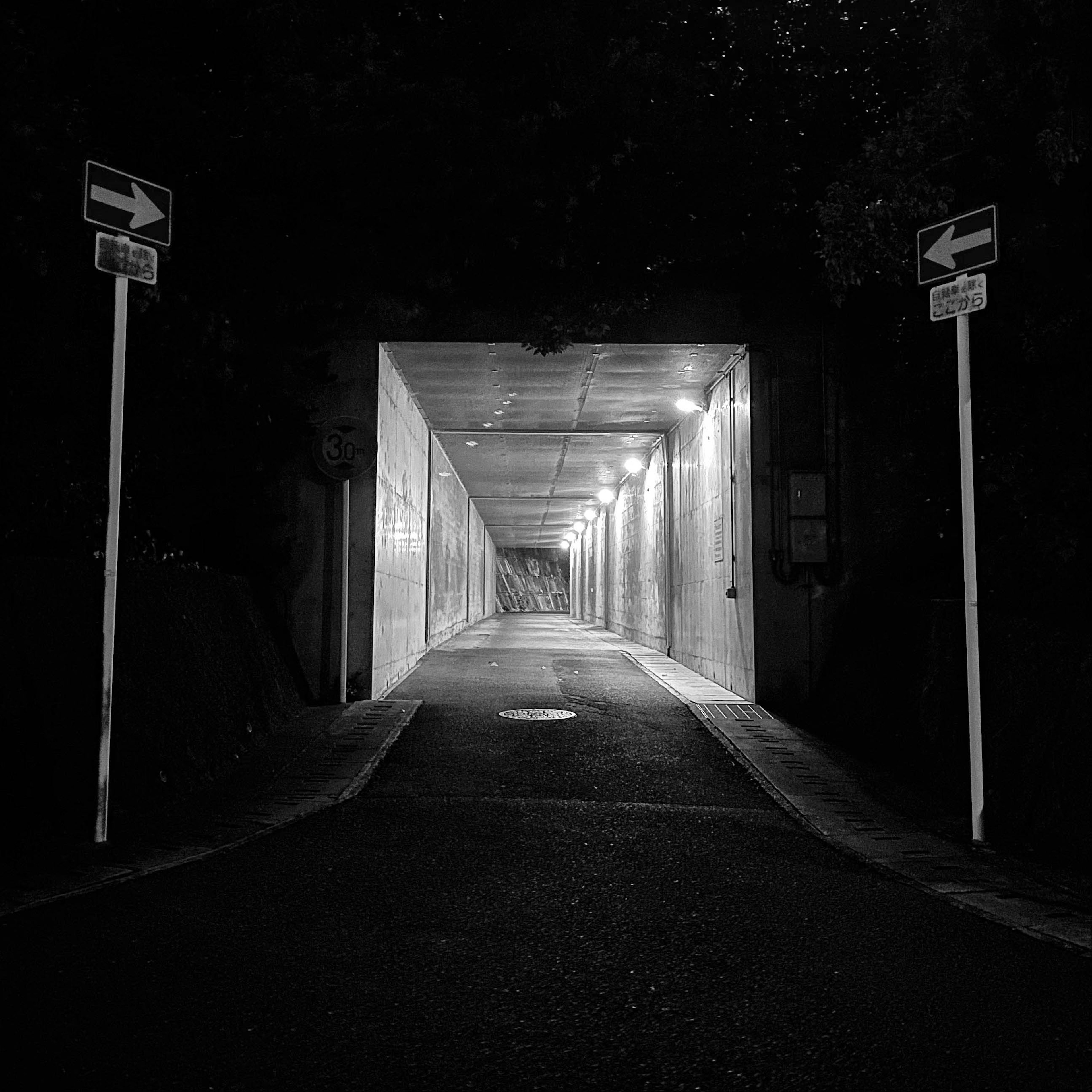 A photo showing a dark tunnel leading to a lit path with street signs on both sides