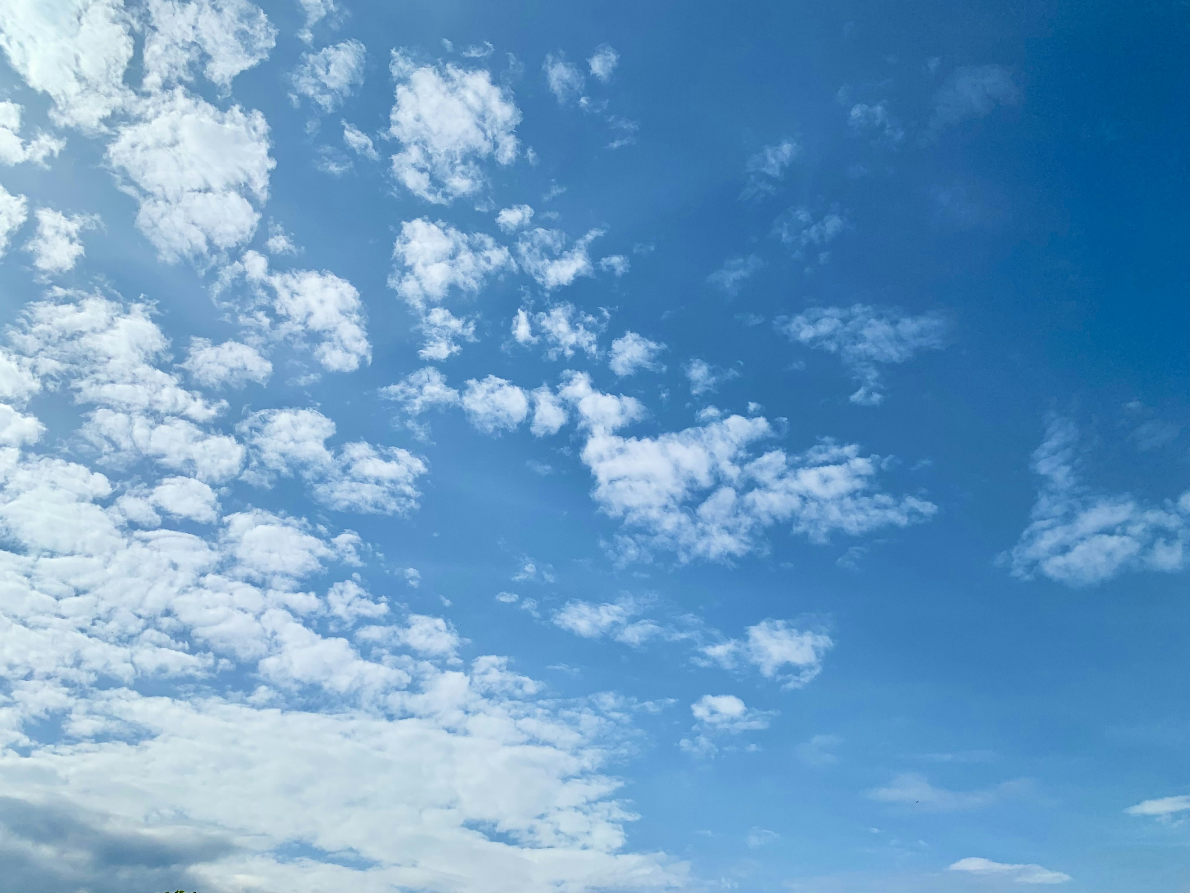 青い空に浮かぶ白い雲