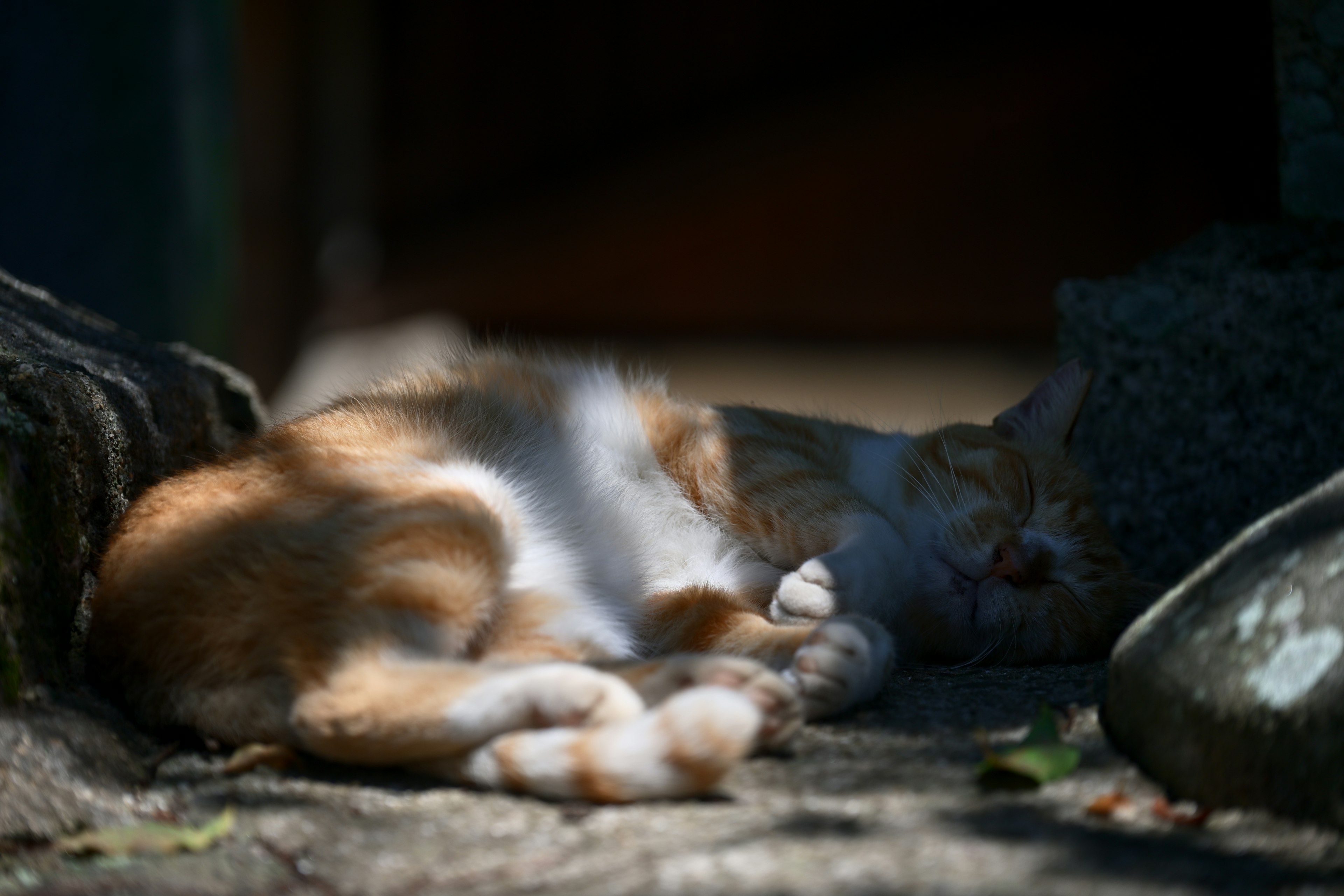 Orange cat sleeping in sunlight on a stone surface