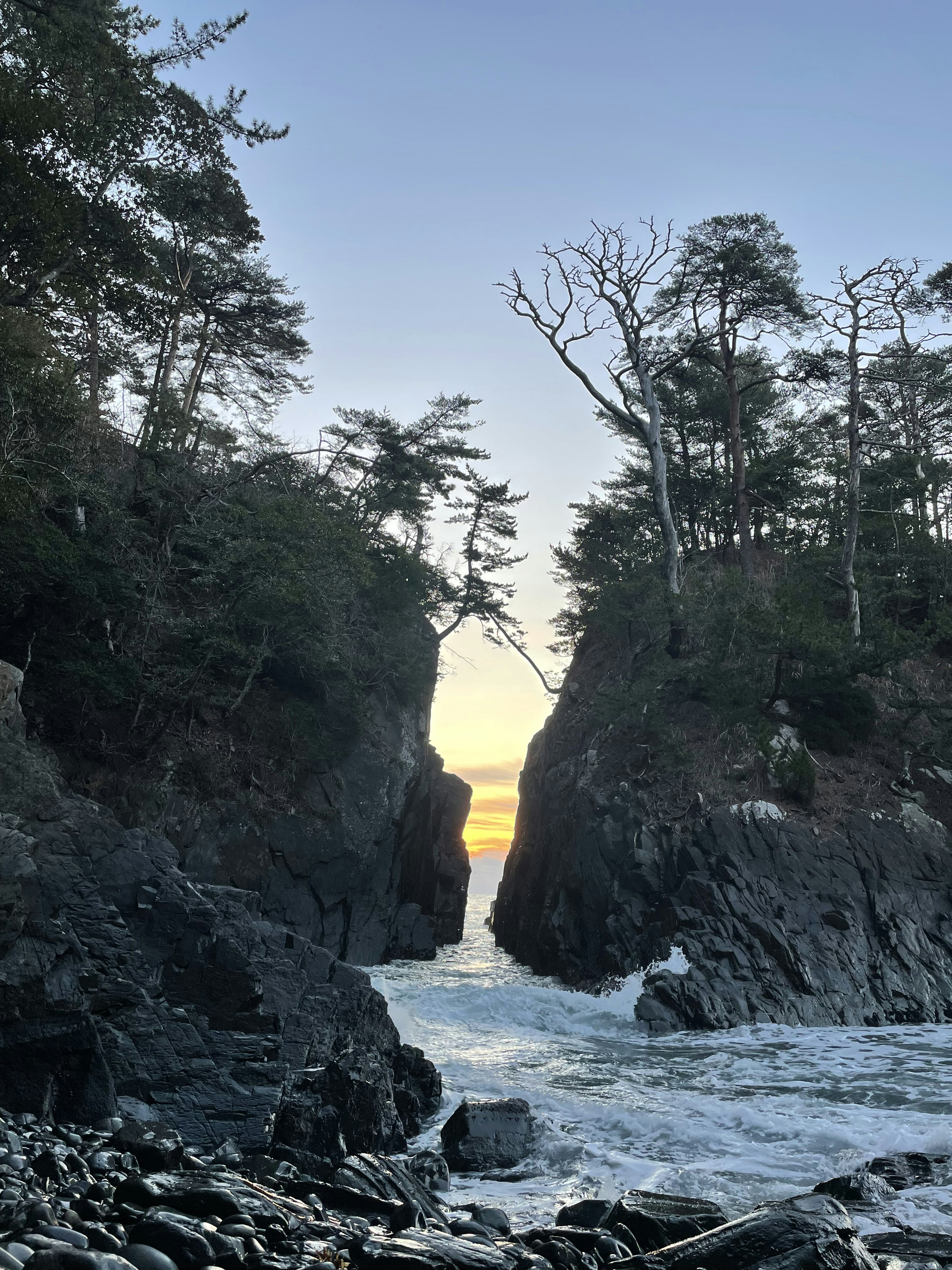 海岸の岩と木々が特徴的な風景の写真