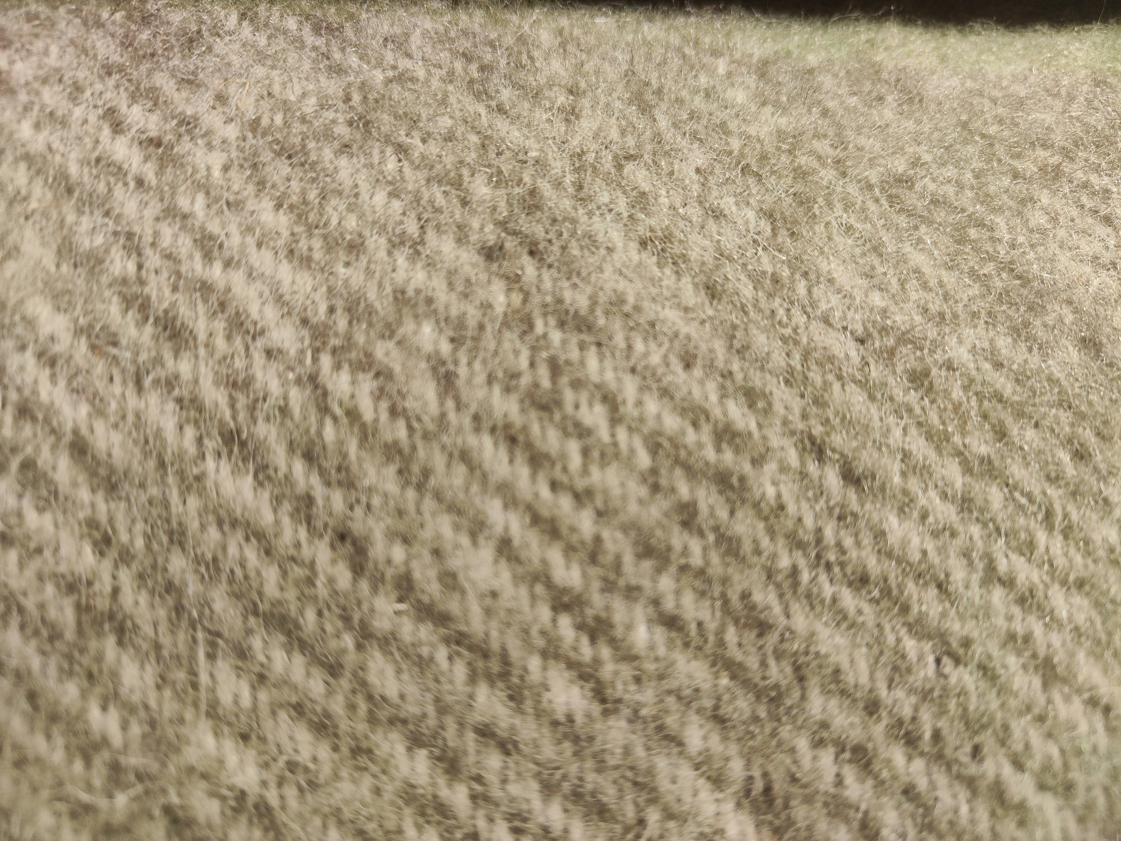 Close-up of textured cream-colored fabric