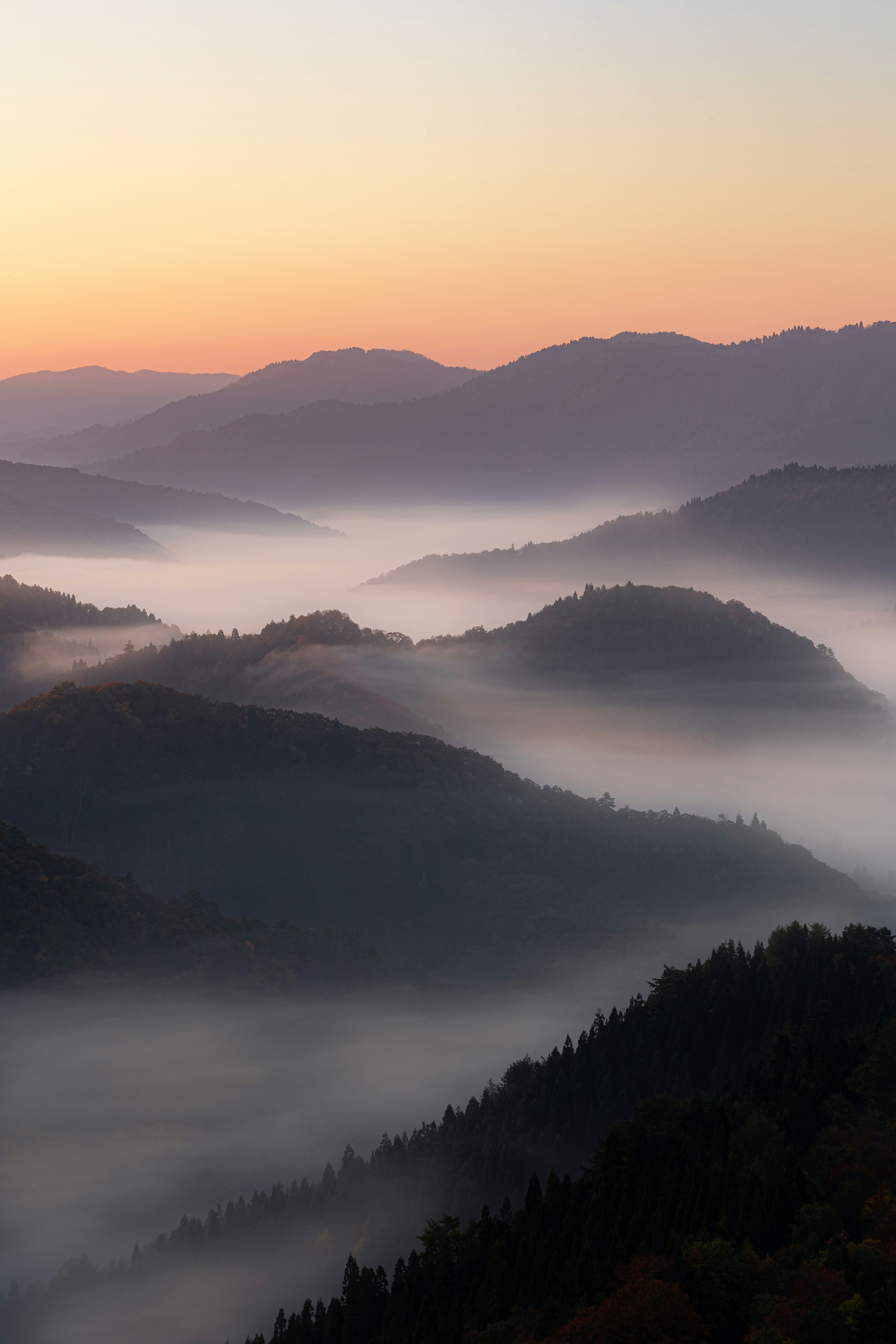 Von Nebel bedeckte Berge mit einem schönen Sonnenaufgangshintergrund