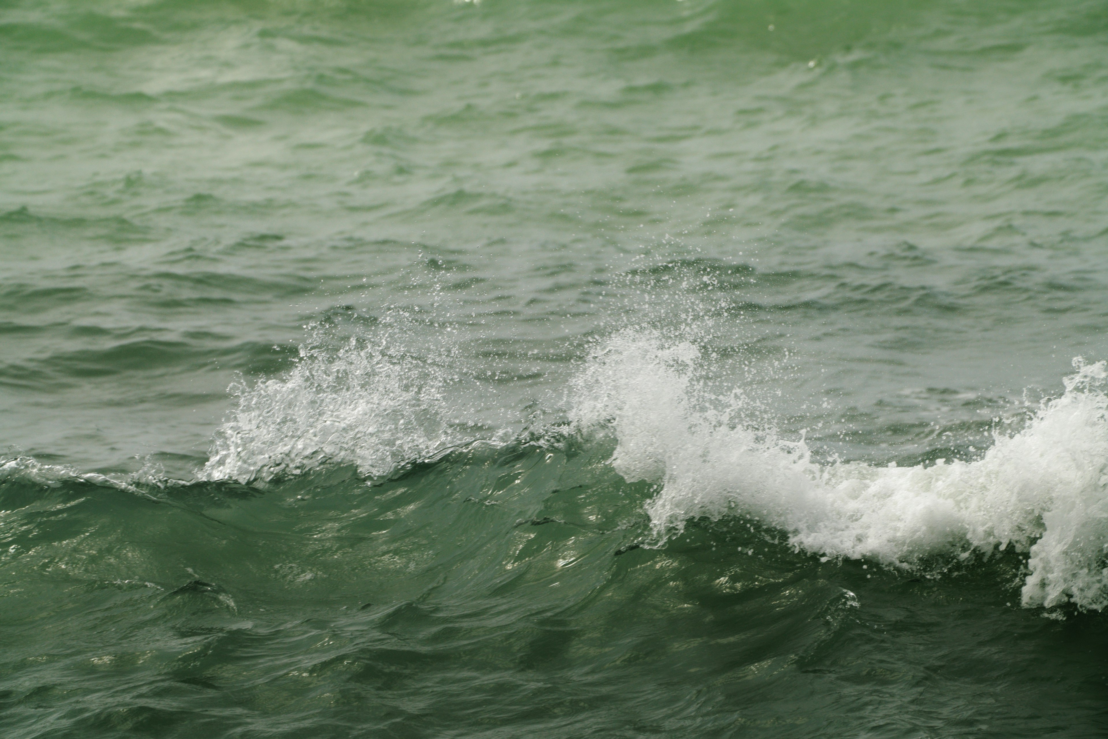 Gros plan de vagues océaniques vertes avec de la mousse blanche