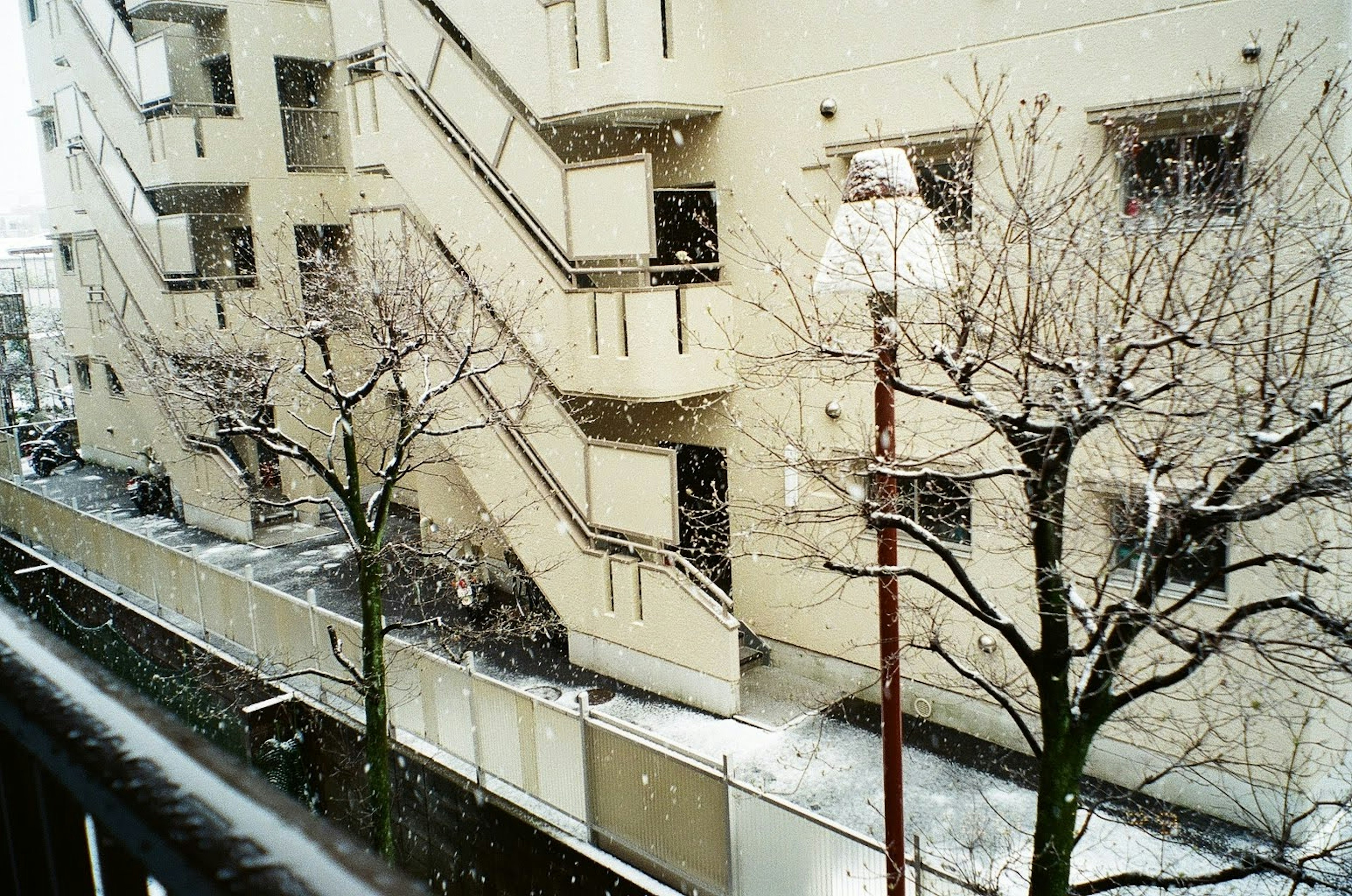 Edificio residenziale con neve che cade e alberi spogli