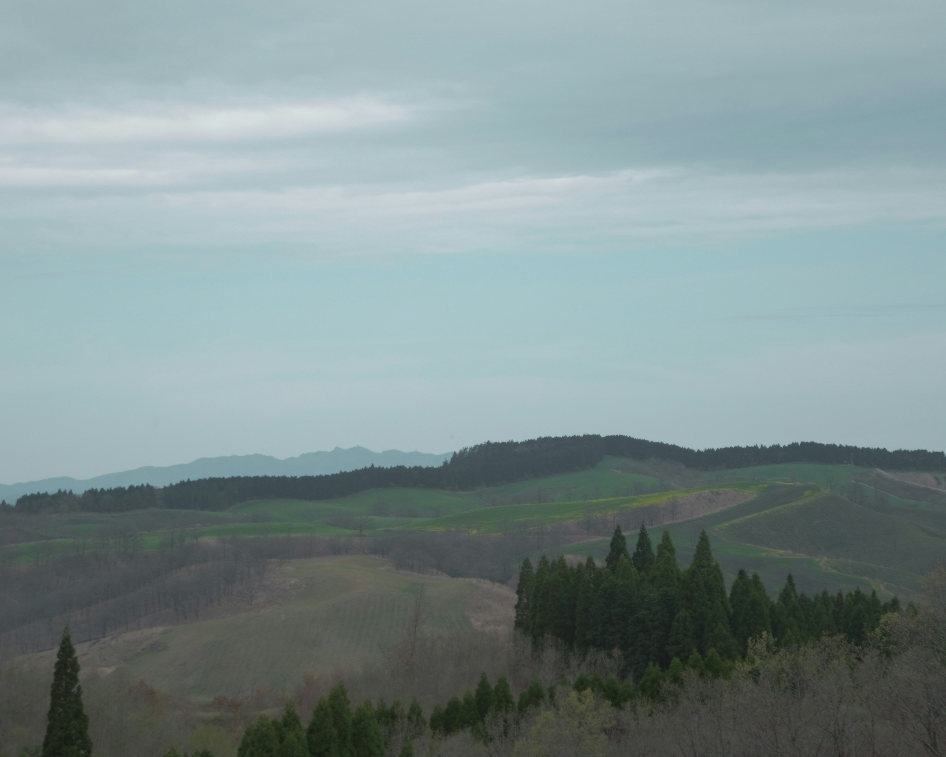 Paisaje con cielo azul y colinas verdes