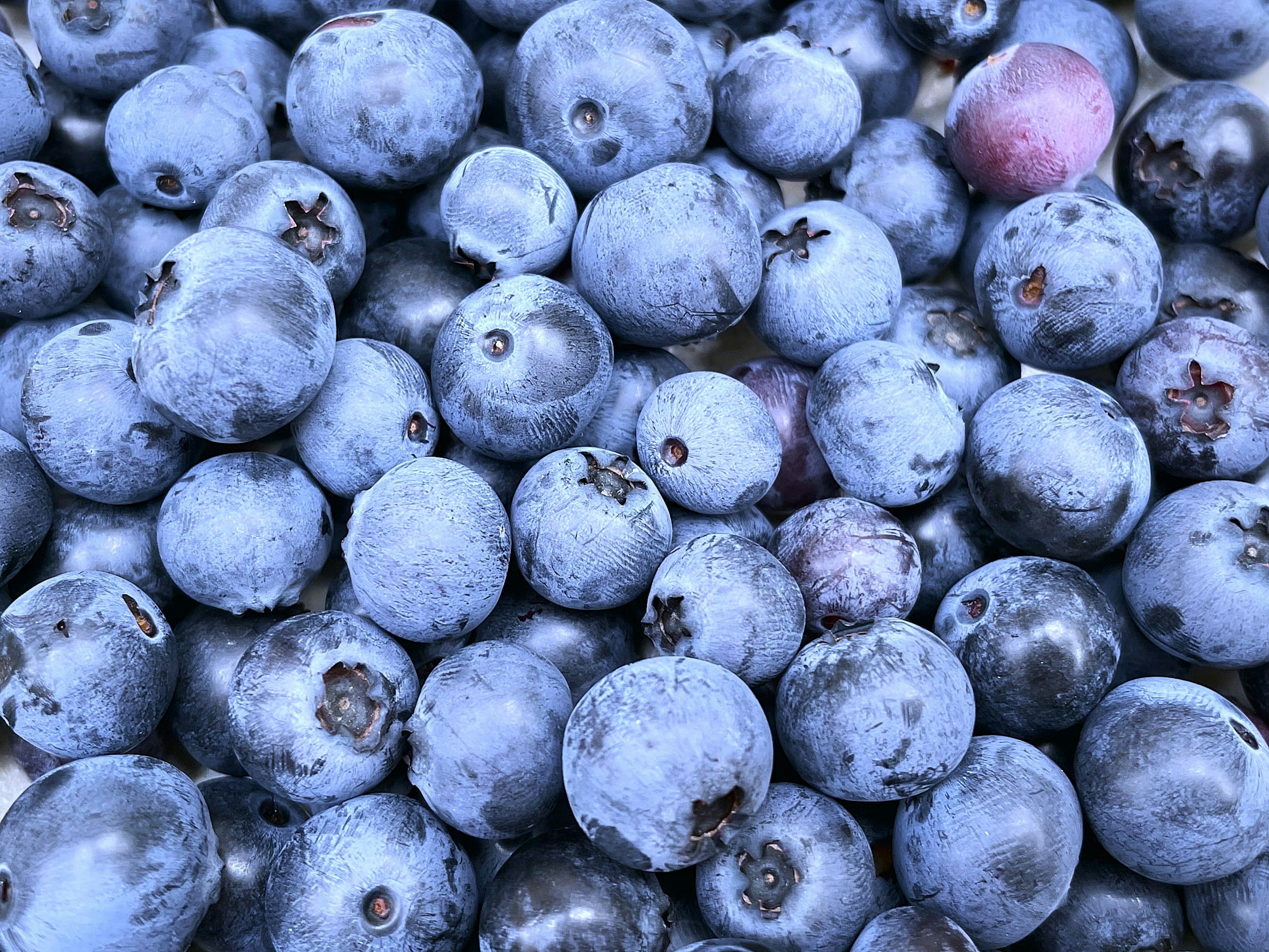 Gambar close-up blueberry segar