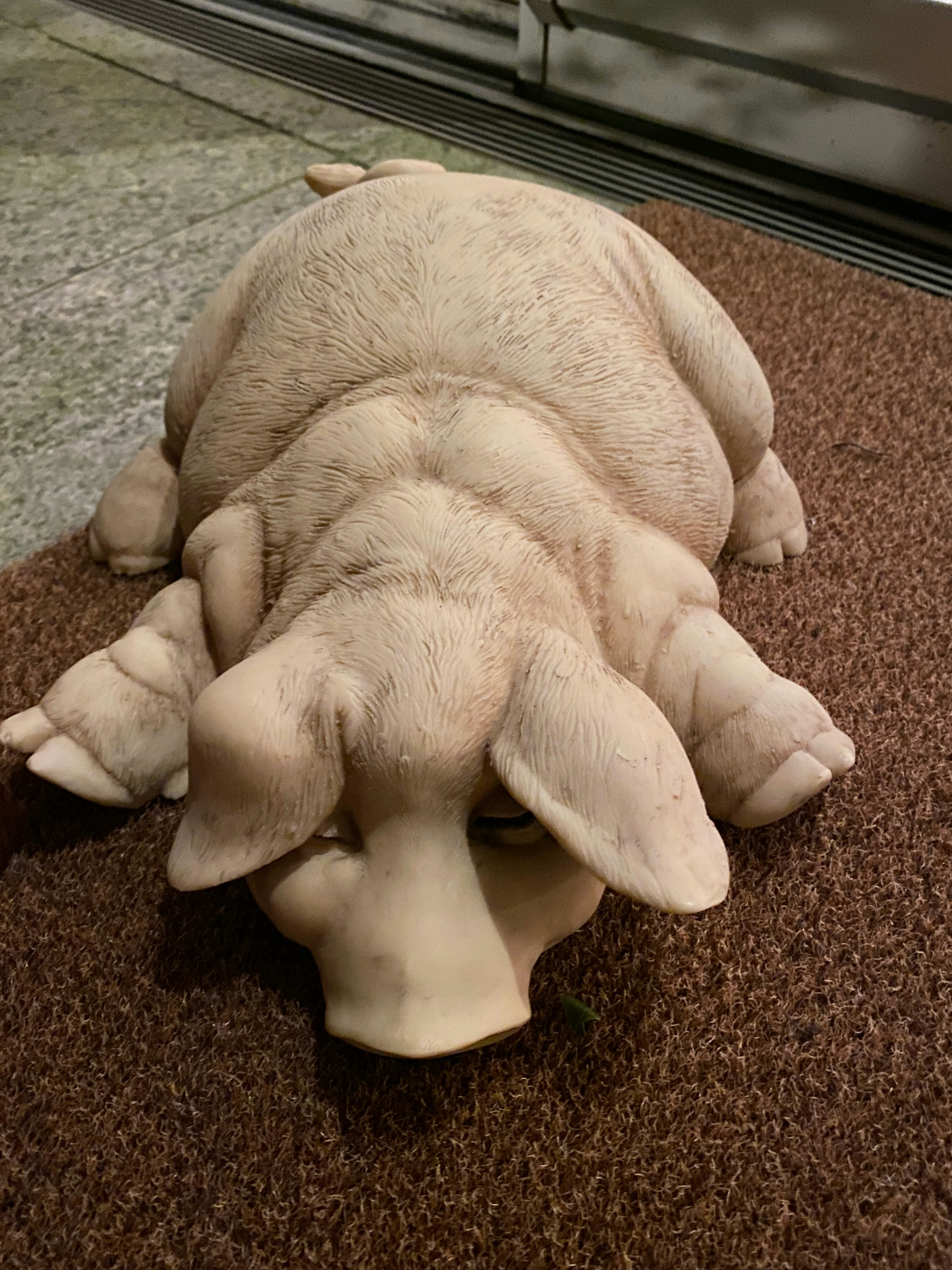 A realistic pig sculpture lying down