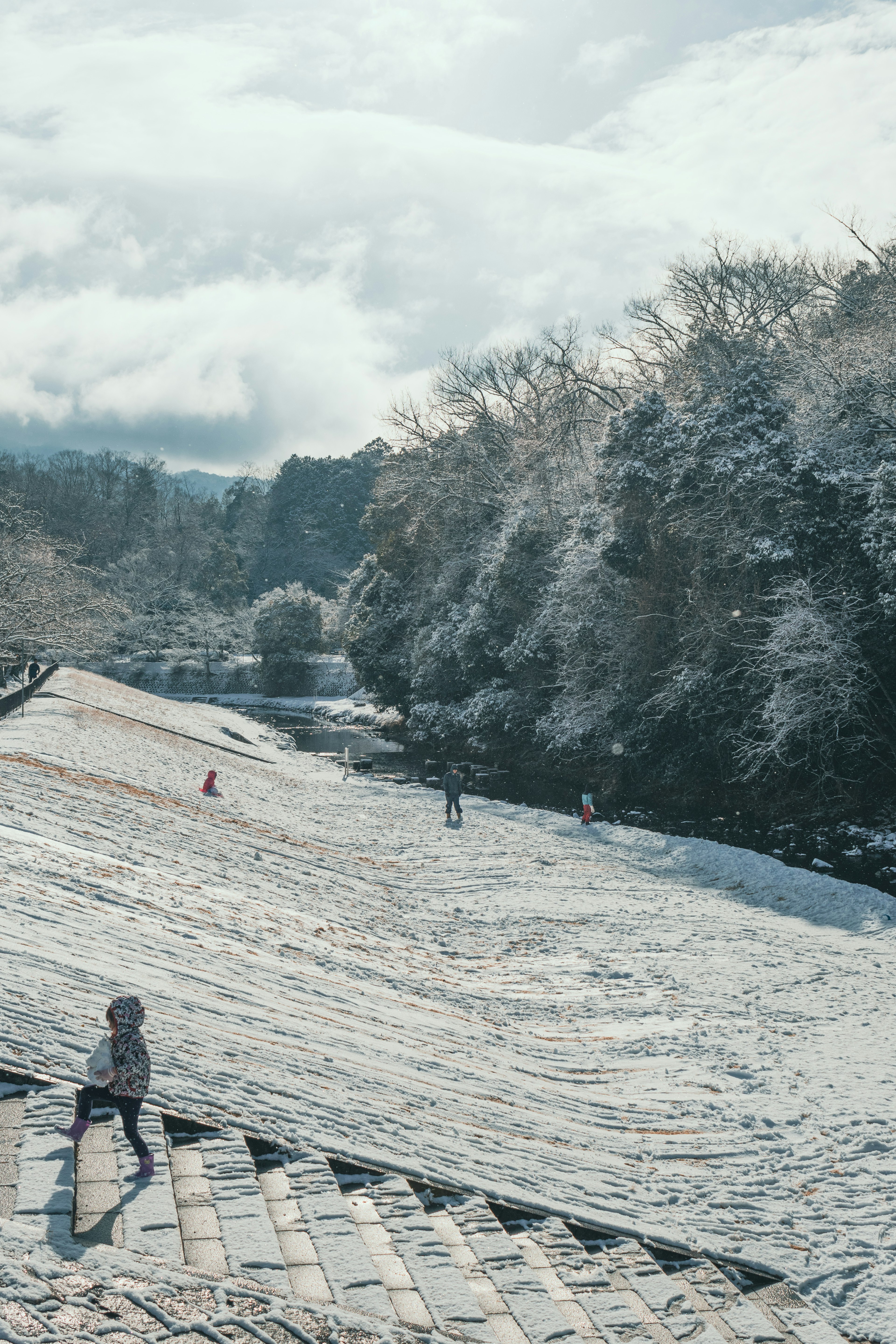 孩子們在雪地裡玩耍，背景有樹木