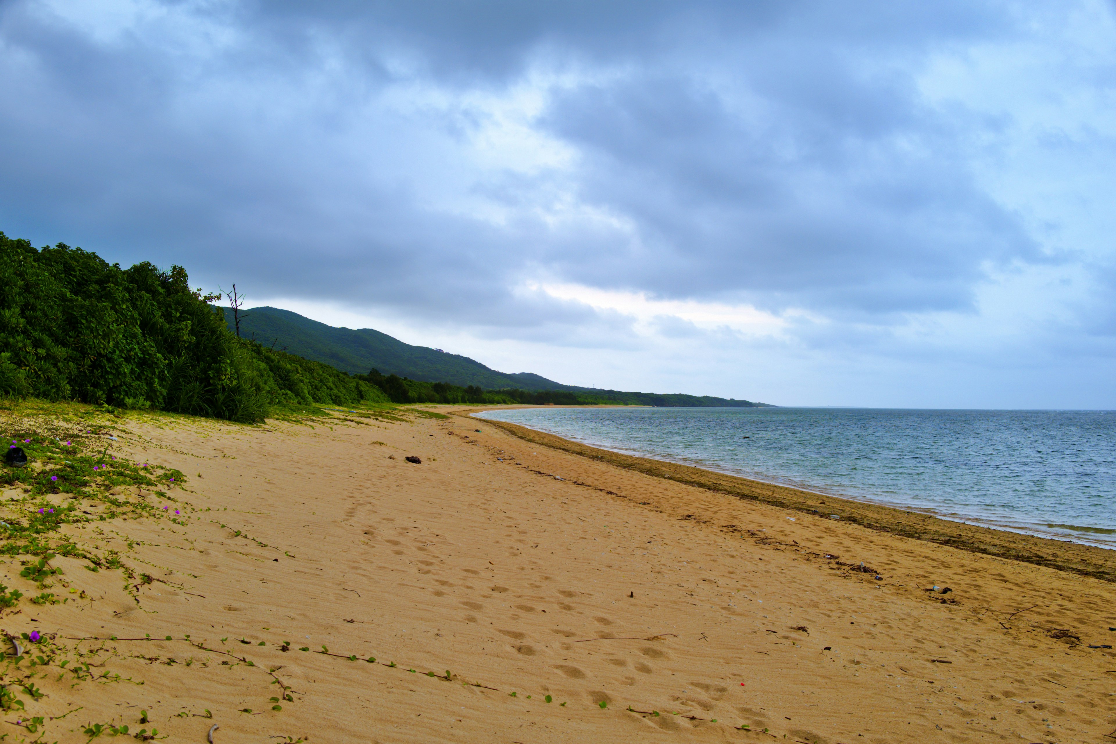 Tranquil beach scene with sandy shore and gentle waves green trees and mountains in the background