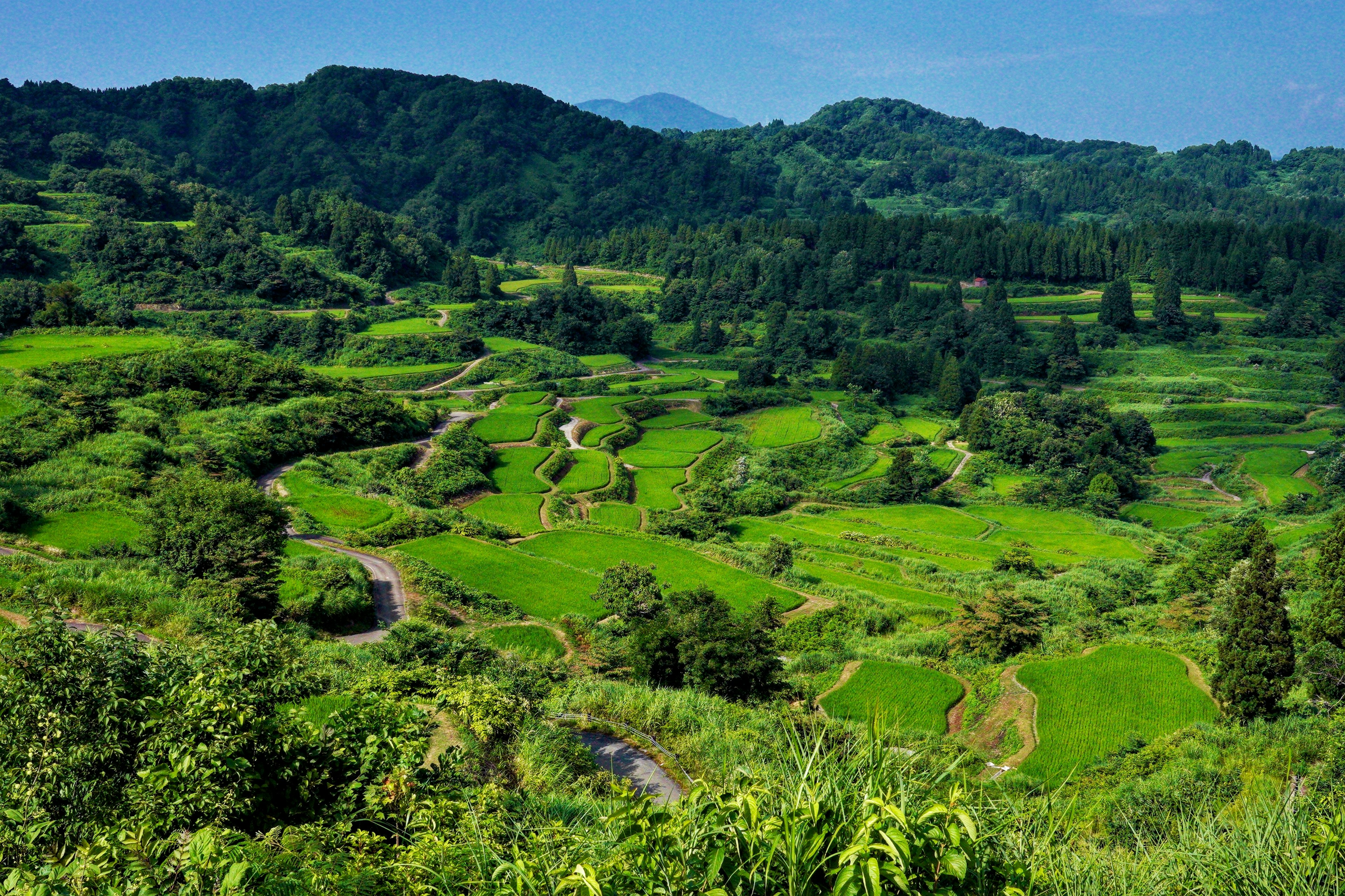 Lush green landscape with rolling hills and distant mountains