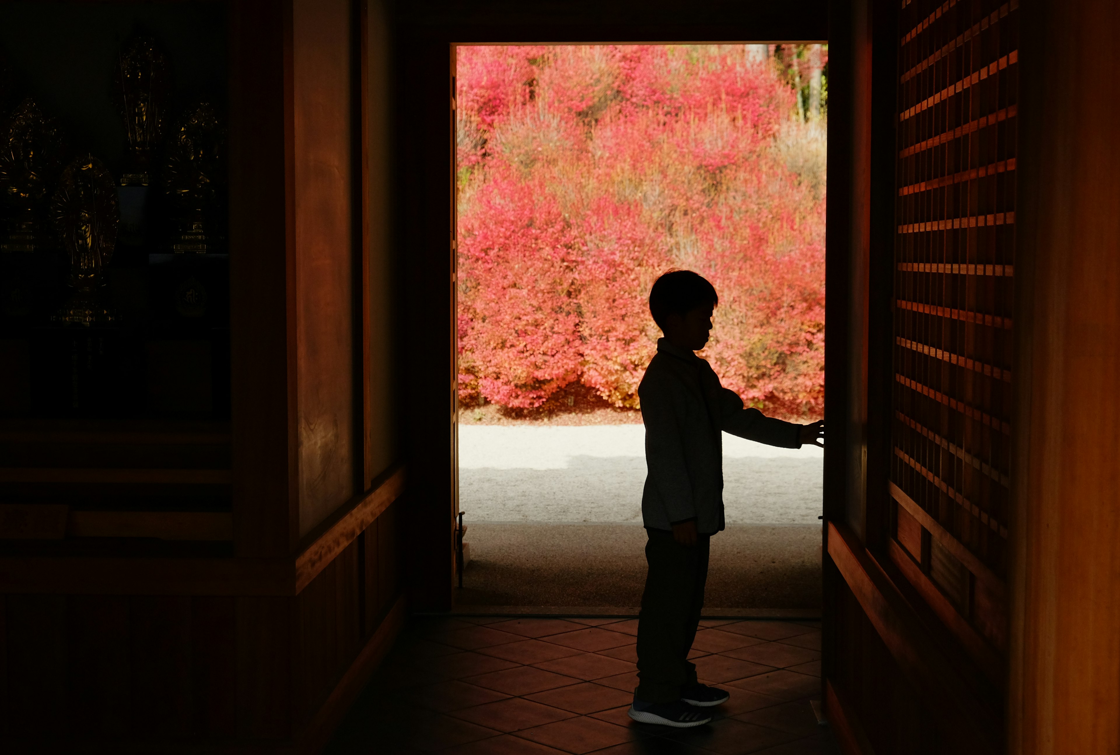 Silhouette of a child reaching for a door with vibrant red foliage in the background