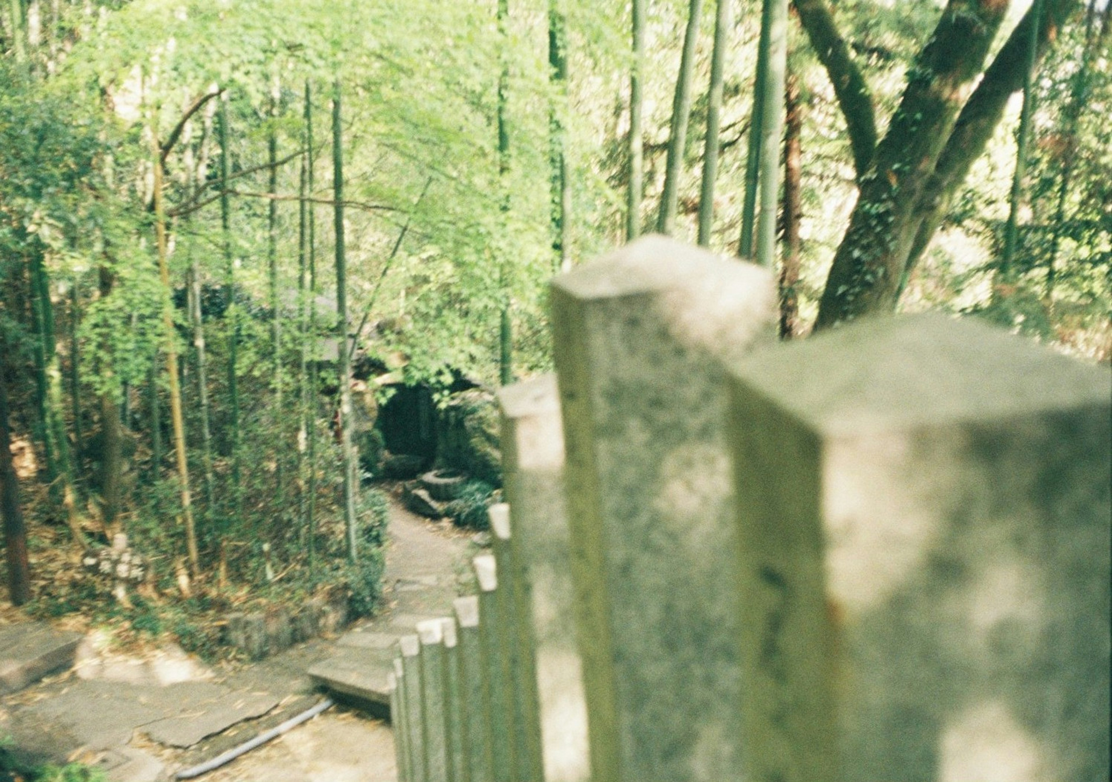 緑に囲まれた階段と石の手すりの風景