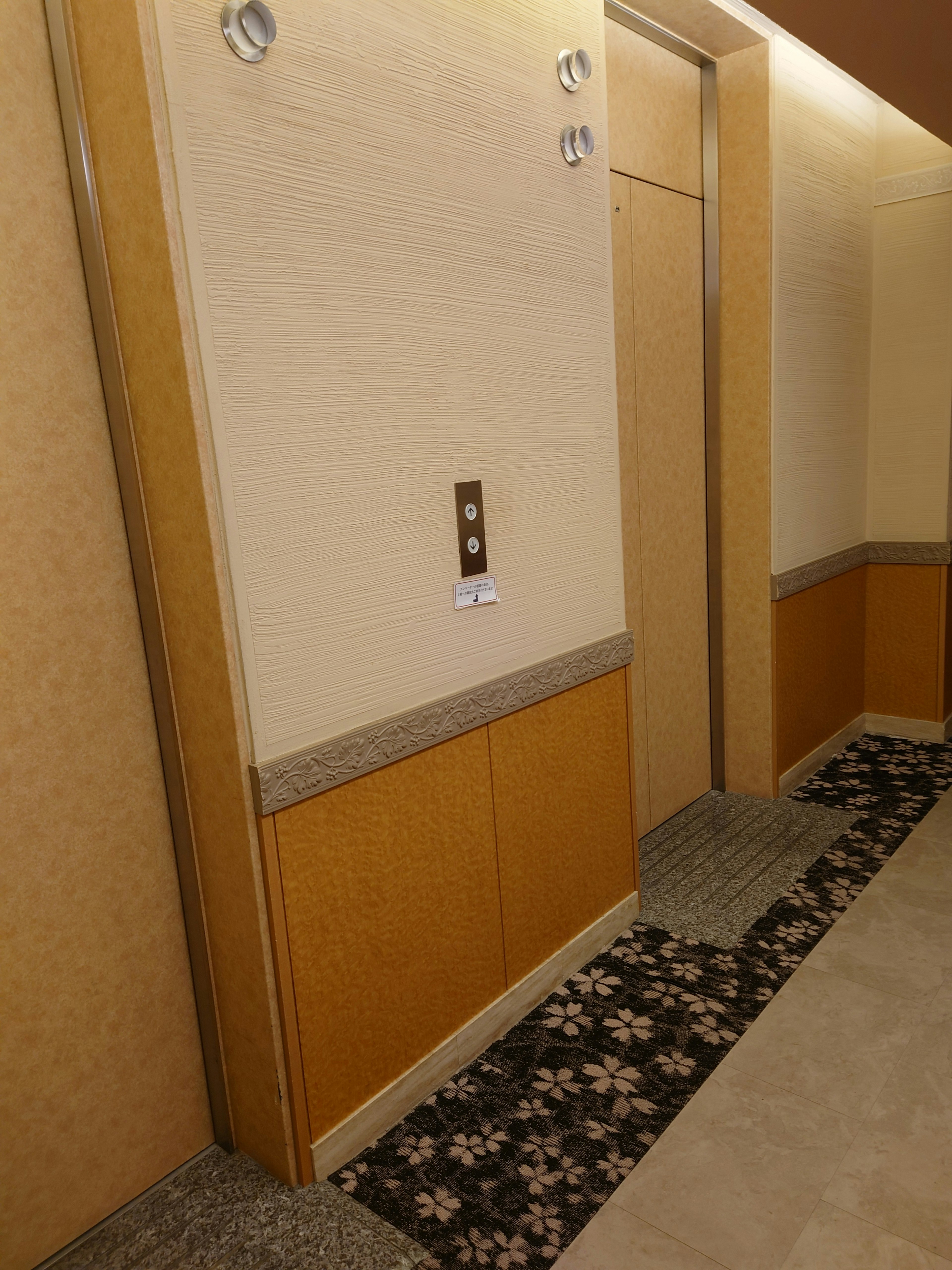 Image of a corridor with an elevator featuring wooden walls and a floral carpet