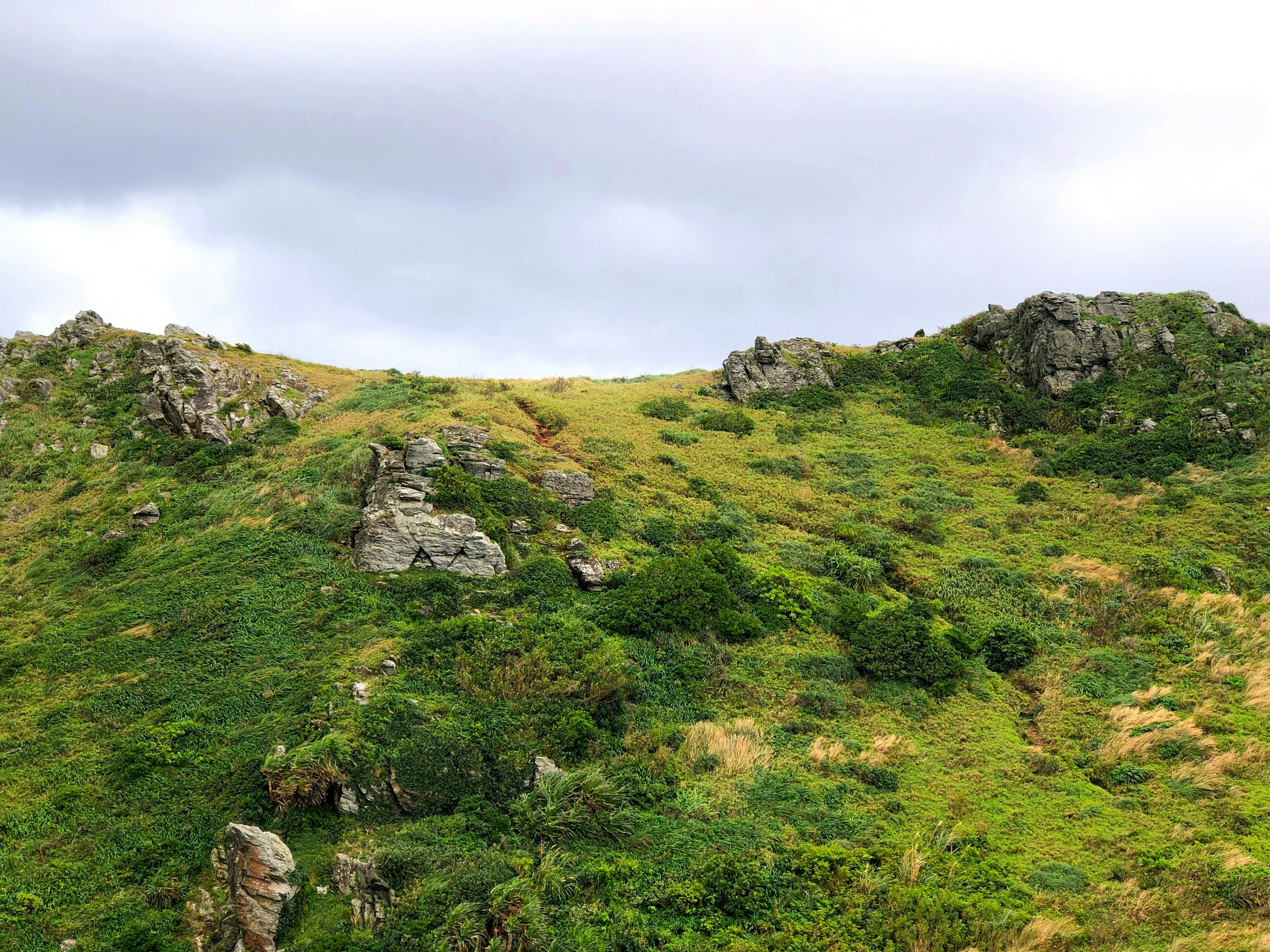 Landschaft mit grünen Hügeln und Felsen