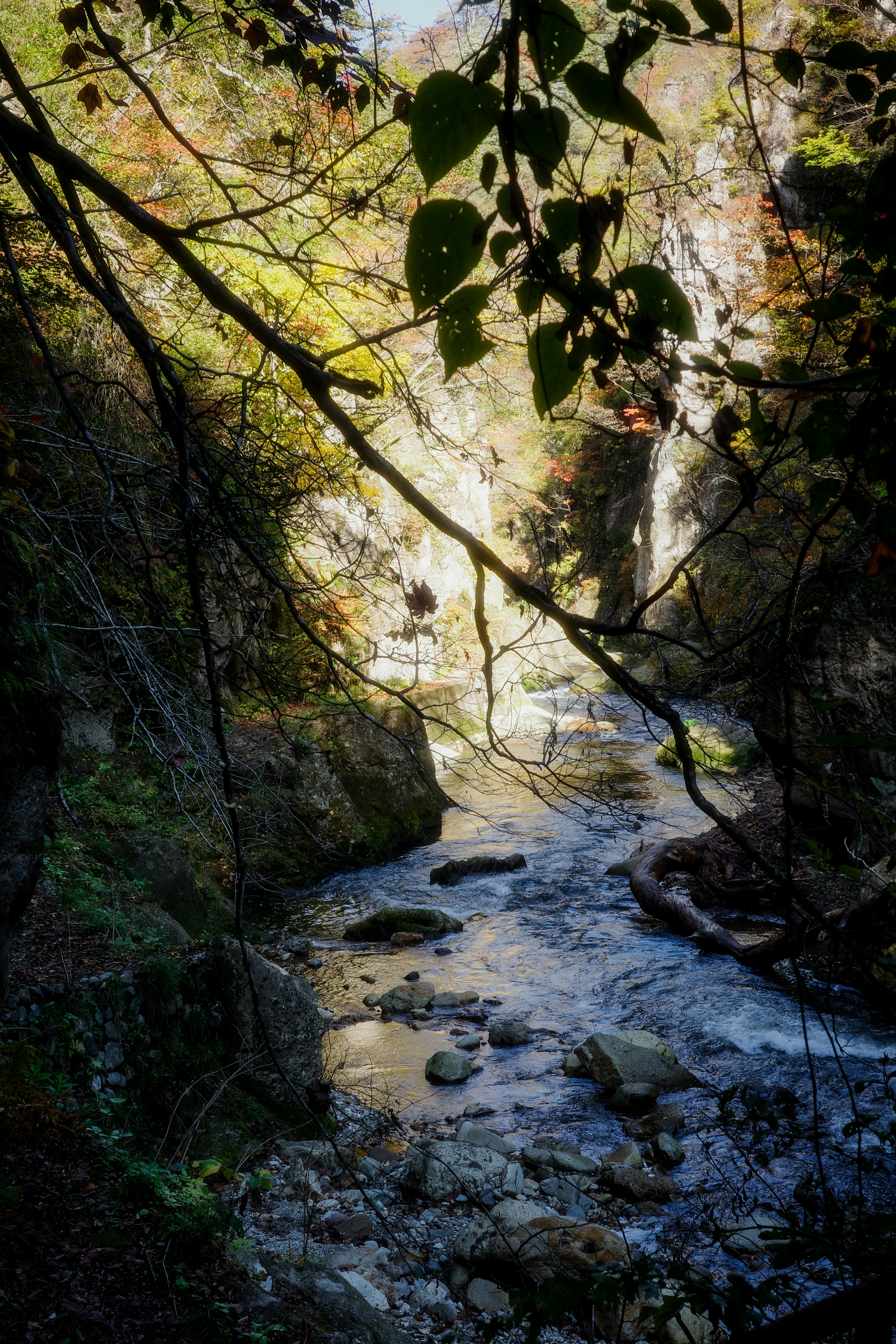 Paisaje natural con un río que fluye rodeado de rocas