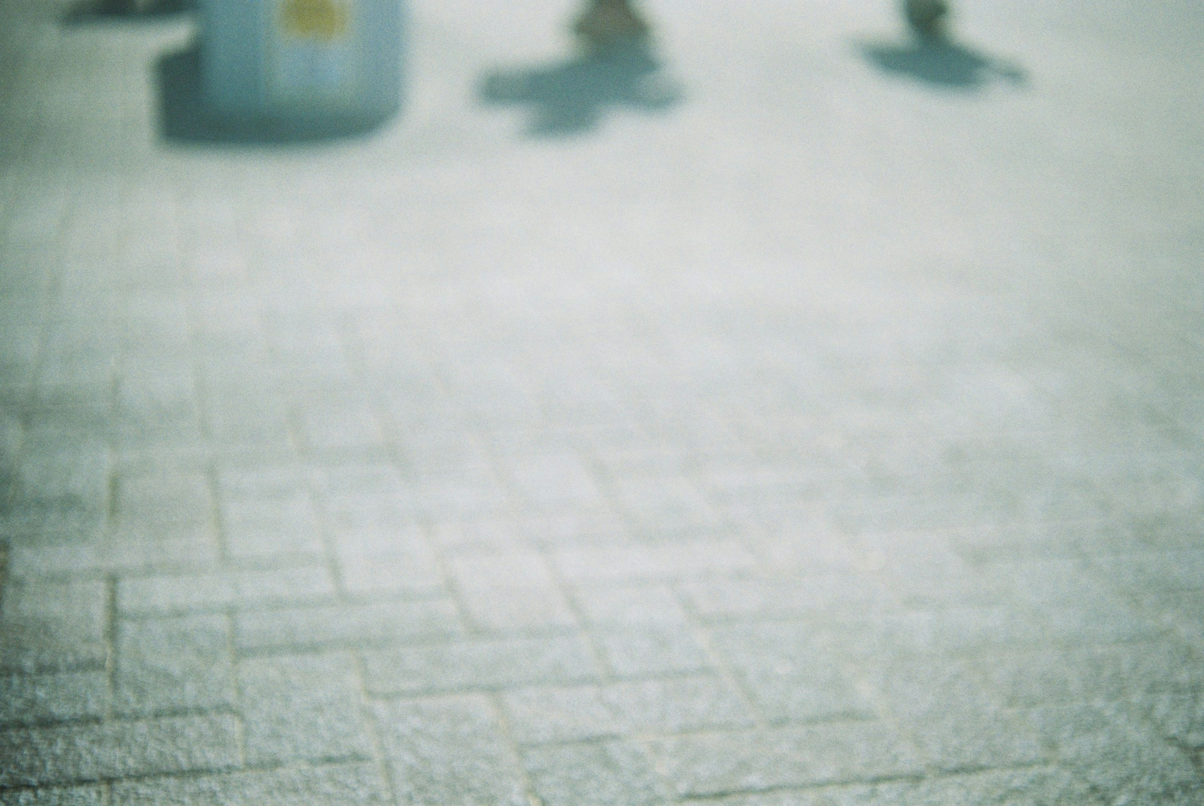 Blurred pavement with faint outlines of plants in the background