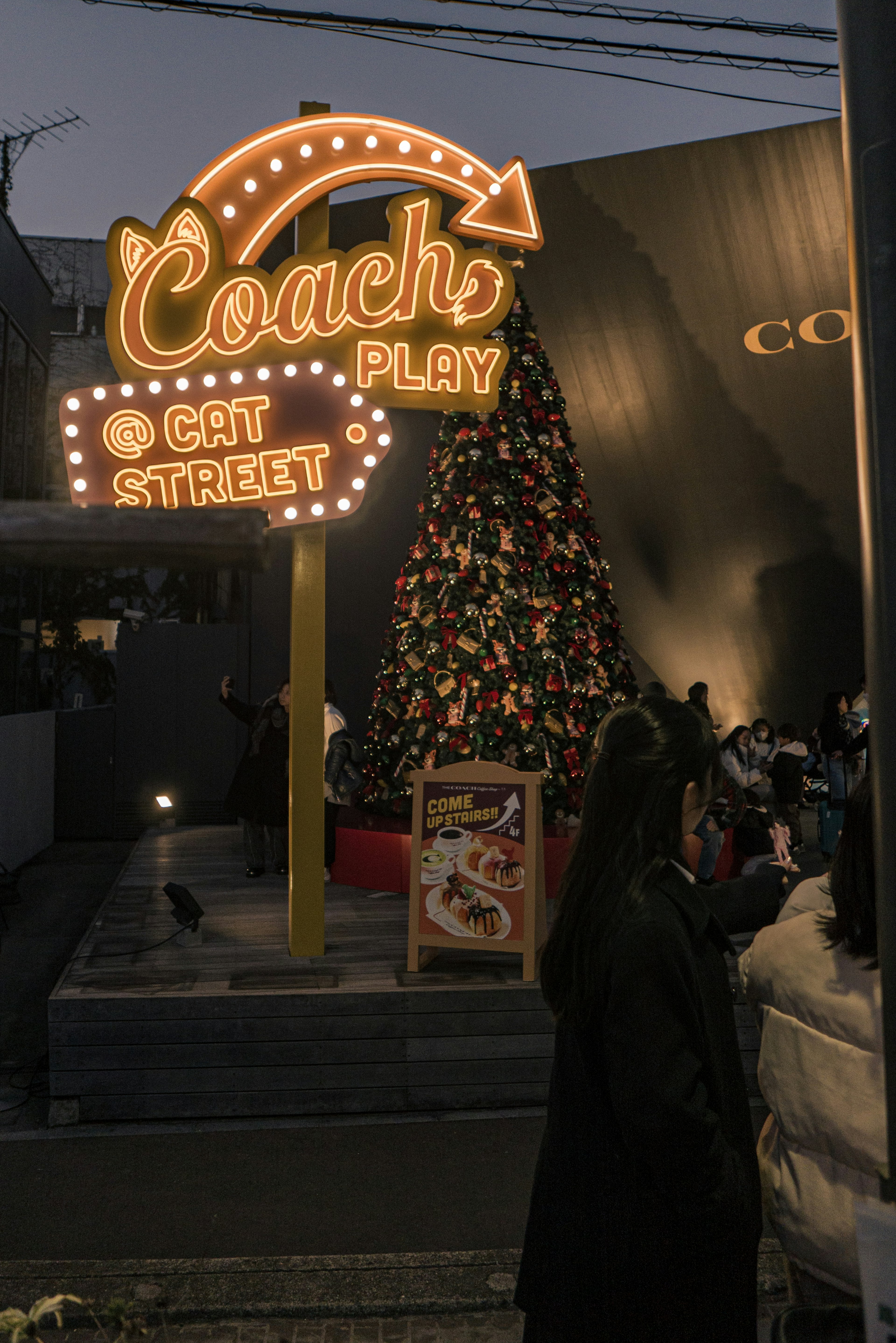 コーチの明るい看板とカラフルなクリスマスツリーがあるキャットストリートの風景