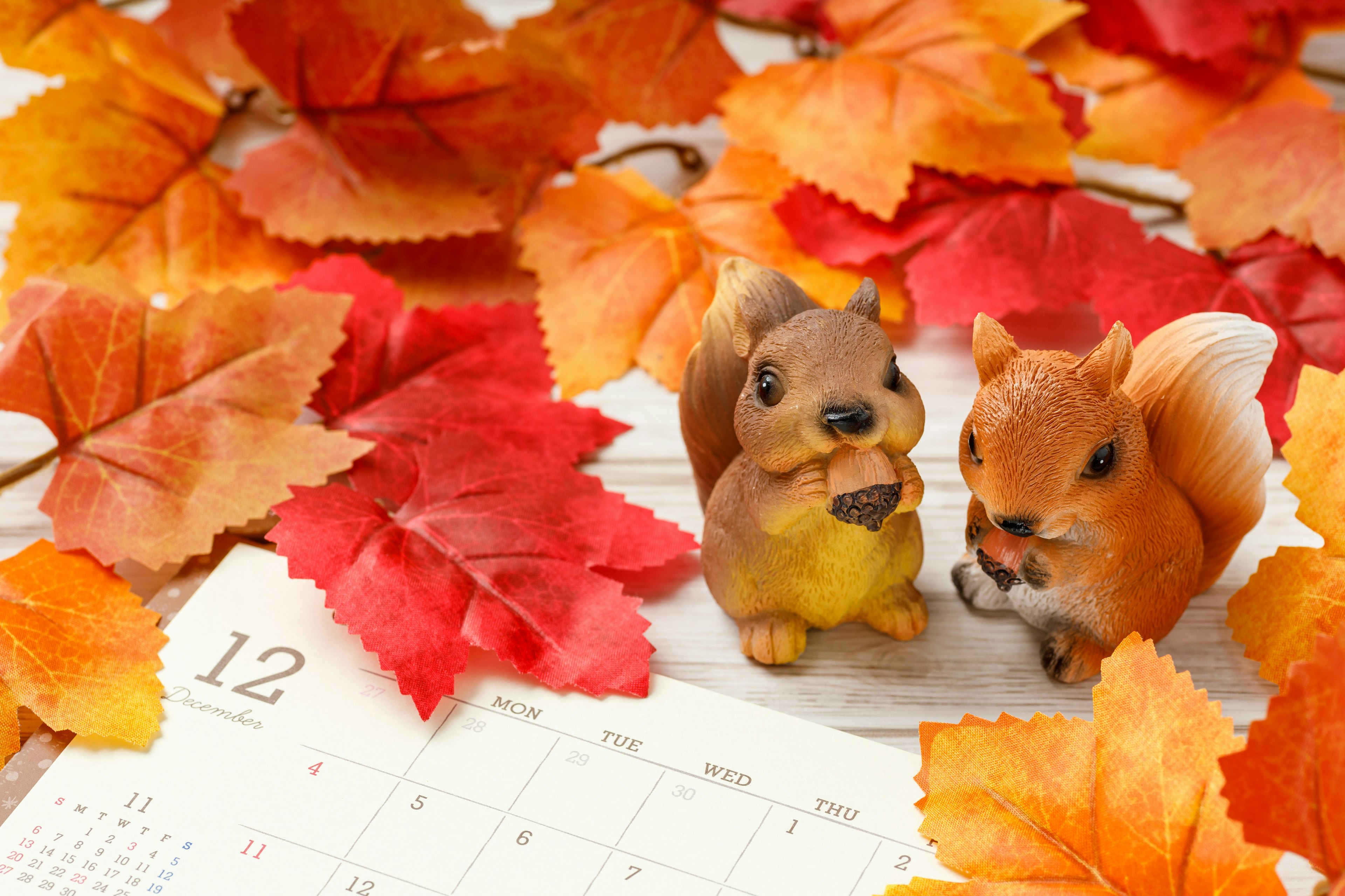 Two squirrel figurines surrounded by autumn leaves and part of a calendar