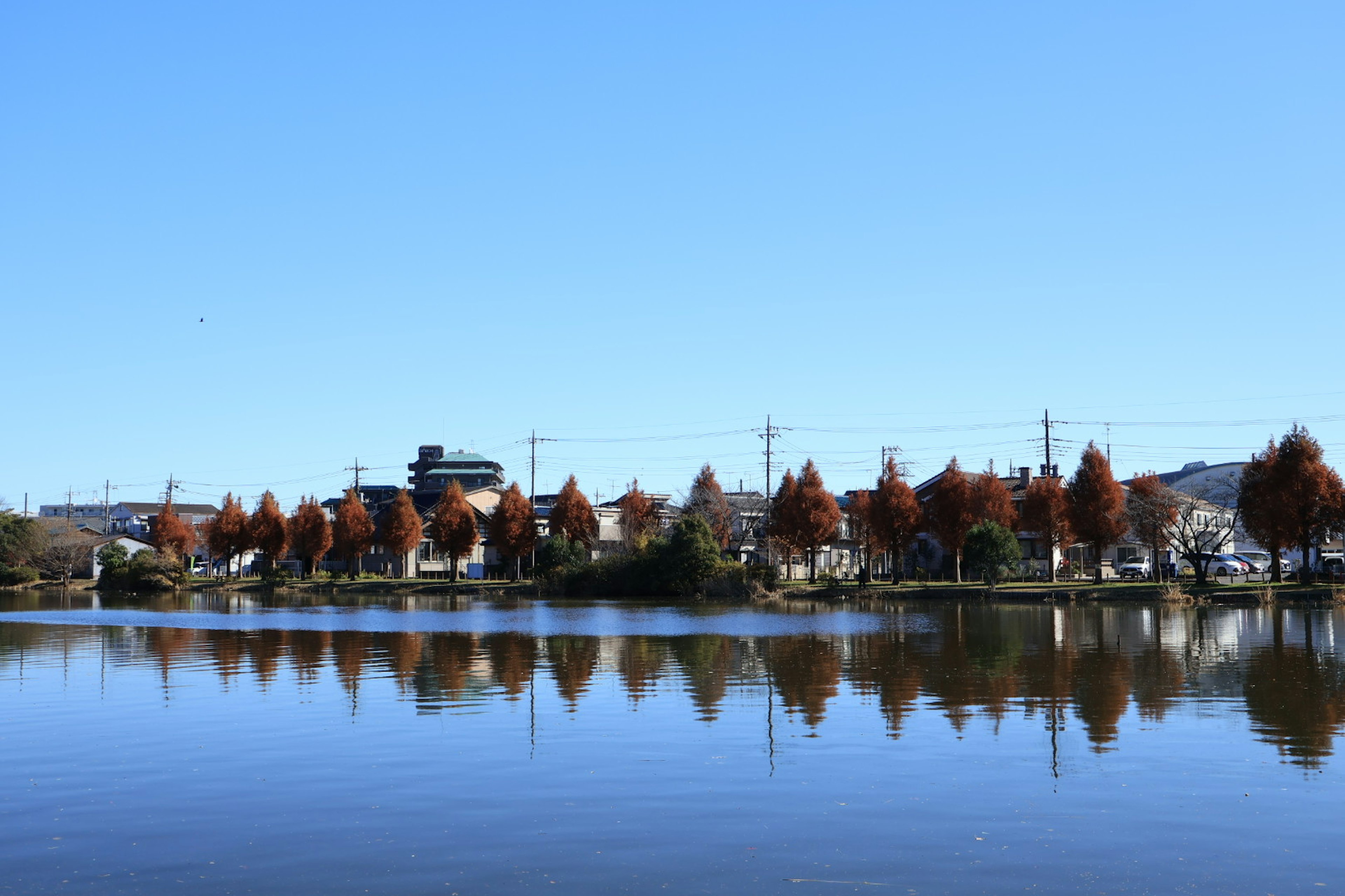 Vista escénica de árboles otoñales reflejándose en un lago tranquilo bajo un cielo azul claro