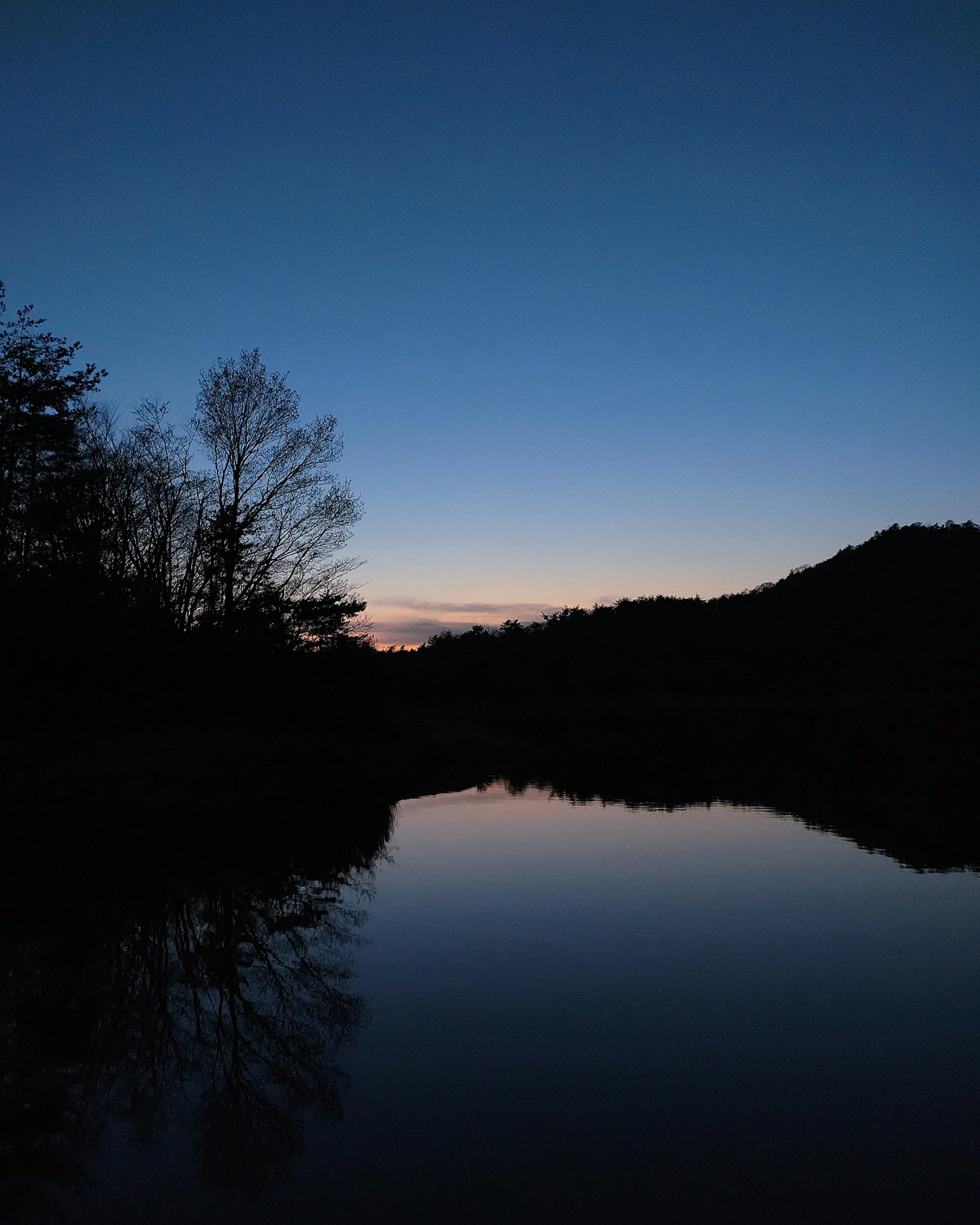 Danau tenang saat fajar dengan pohon siluet