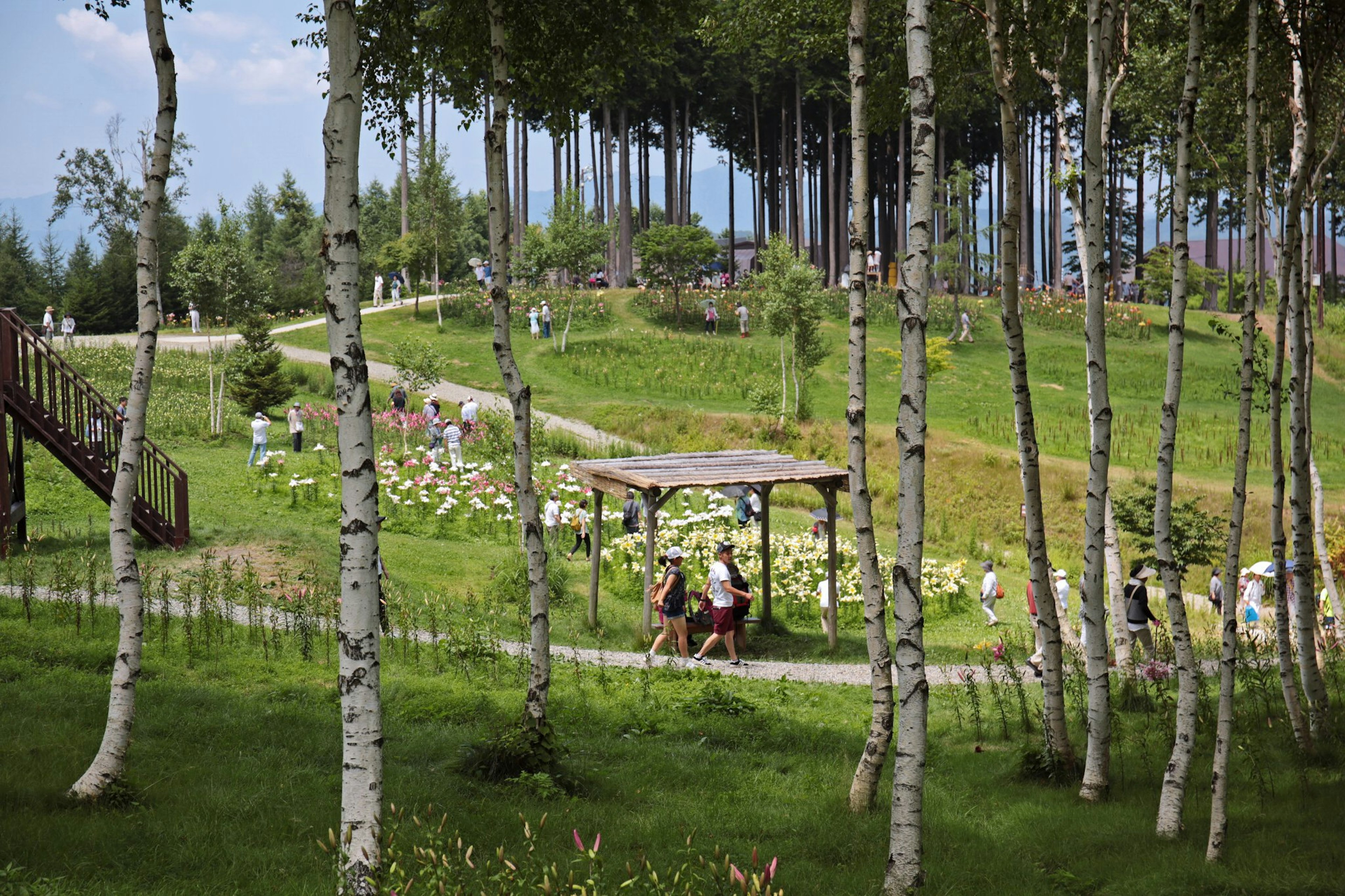 Un parco lussureggiante con persone che camminano e alberi sullo sfondo