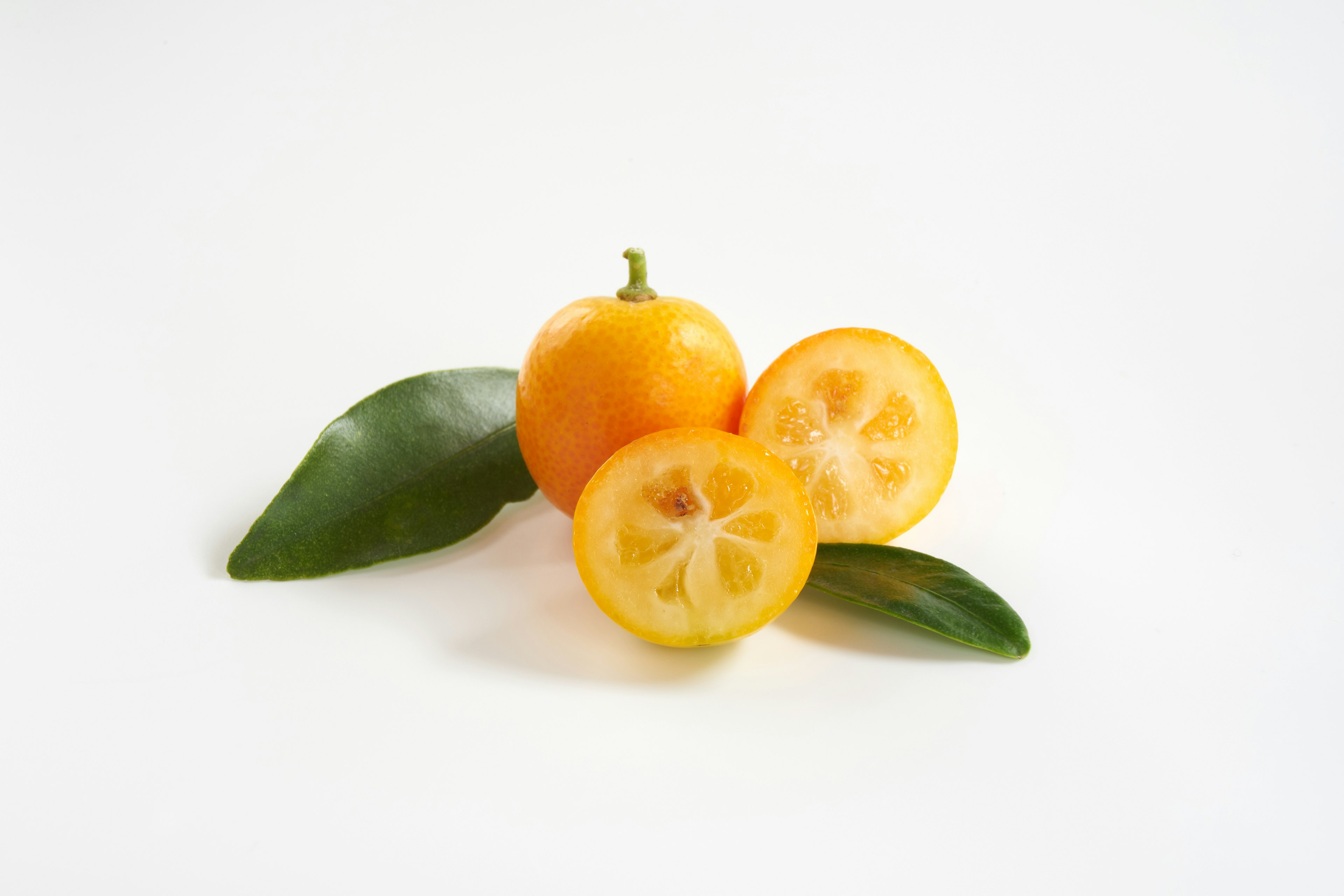 Fresh calamansi with green leaves arranged on a white background