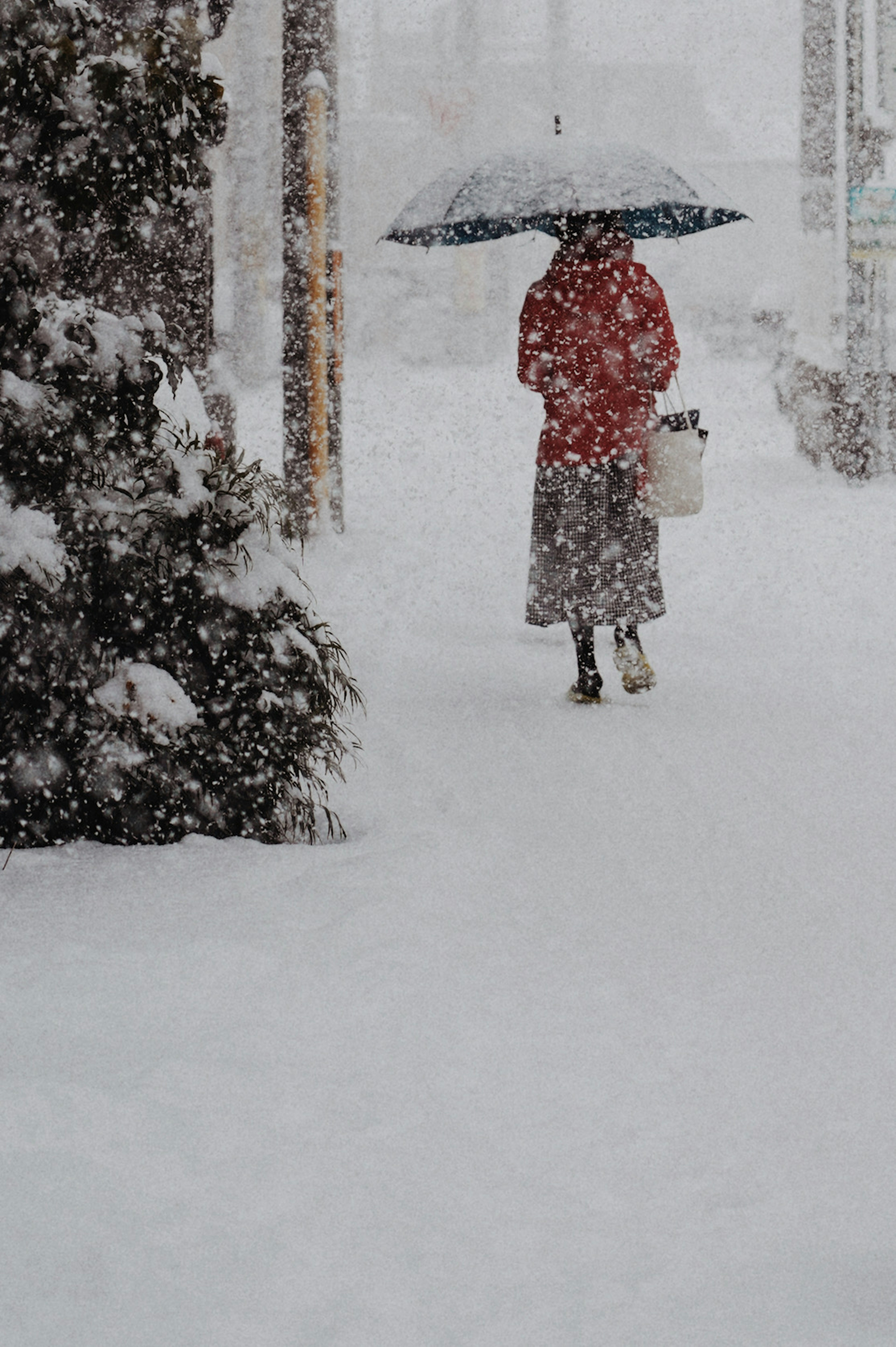 雪の中で赤いコートを着た人物が傘をさして歩いている