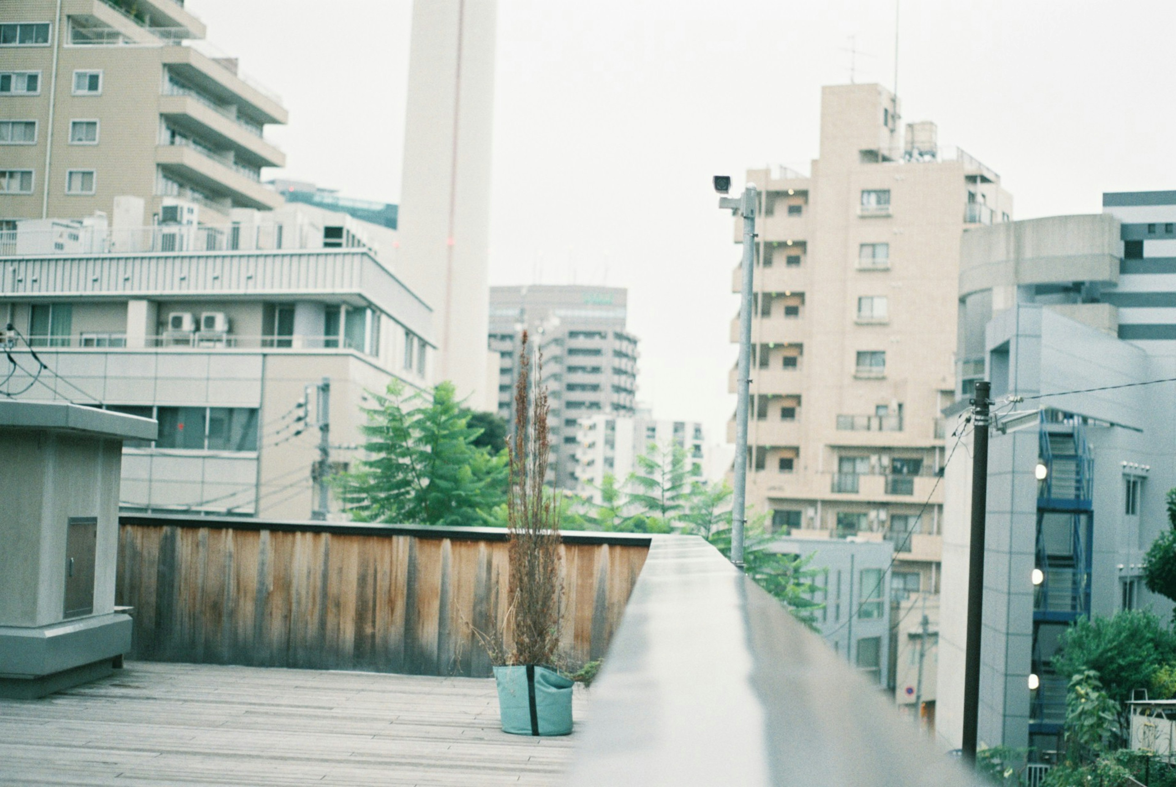 Urban skyline view from a rooftop featuring green trees and concrete buildings