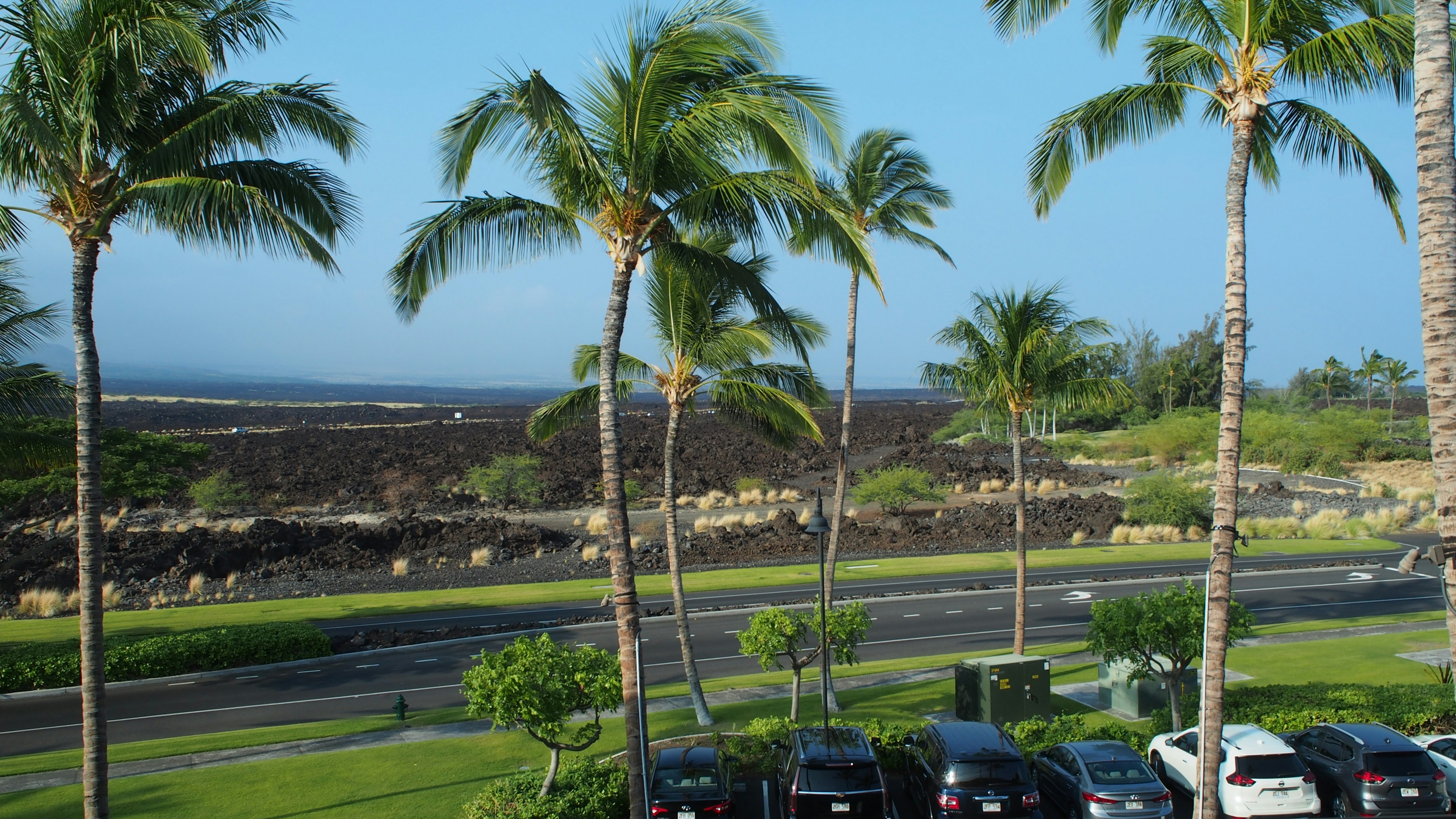 Landschaft mit Palmen unter blauem Himmel und schwarzem Lava-Gelände im Hintergrund