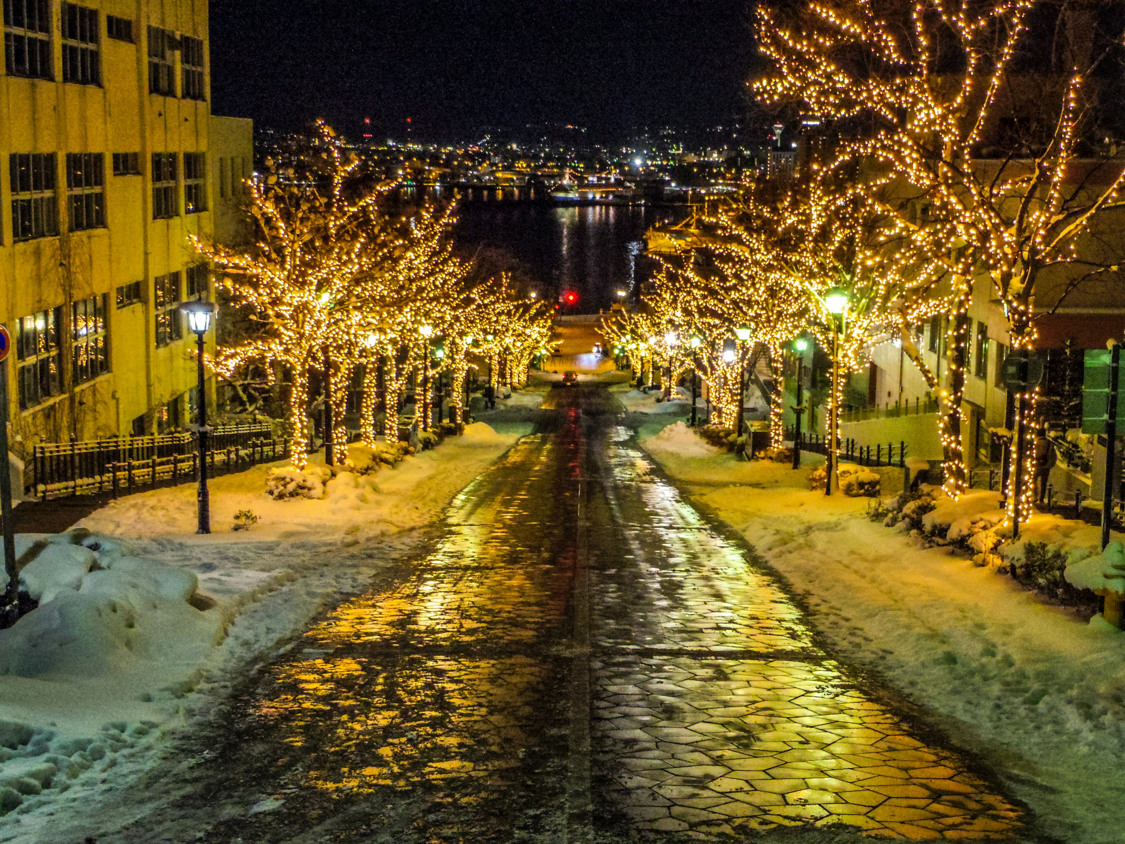 Strada innevata di notte fiancheggiata da alberi illuminati