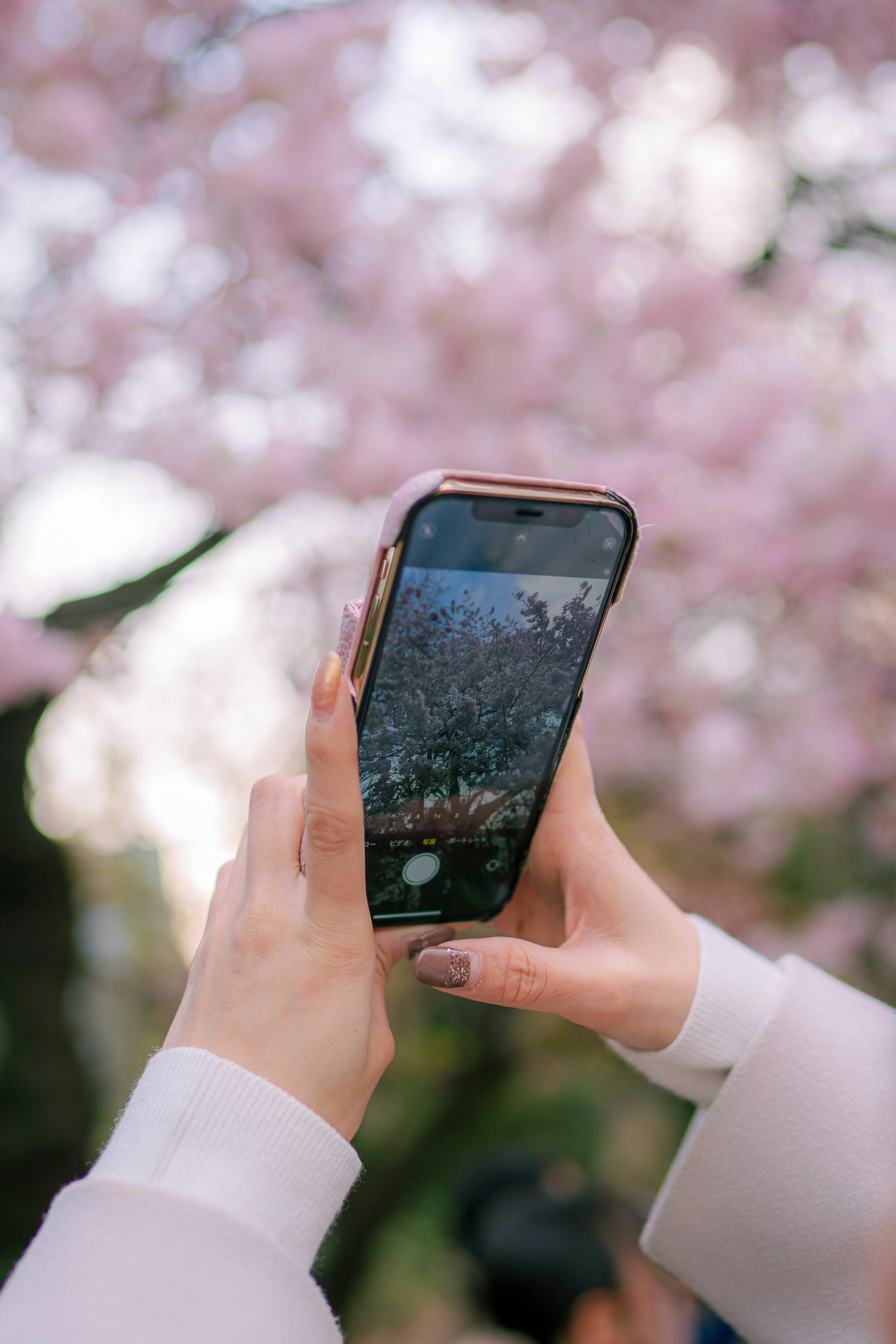 Persona sosteniendo un smartphone para tomar una foto con cerezos en flor de fondo