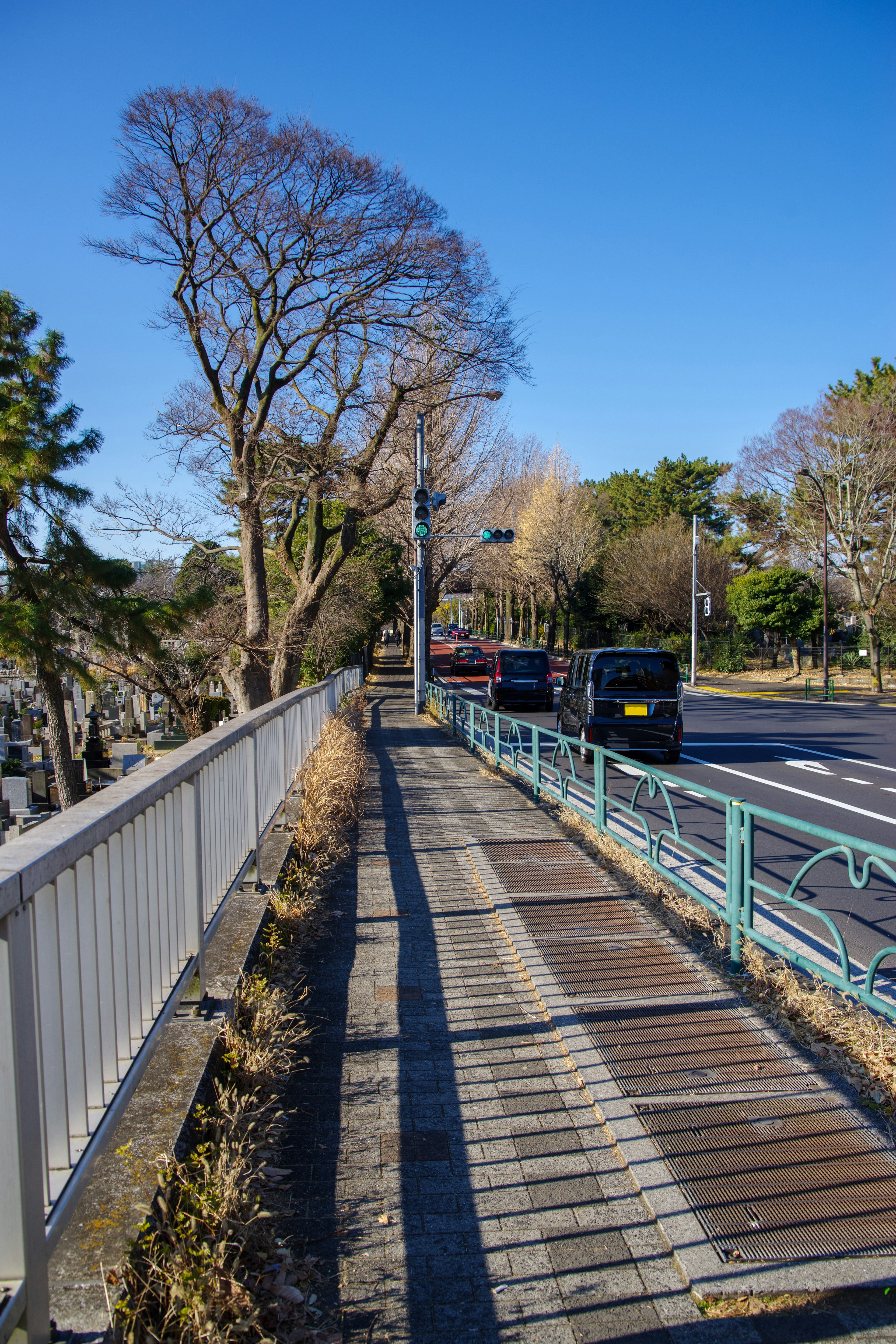 青空の下の歩道と並行する道路に車が走る風景