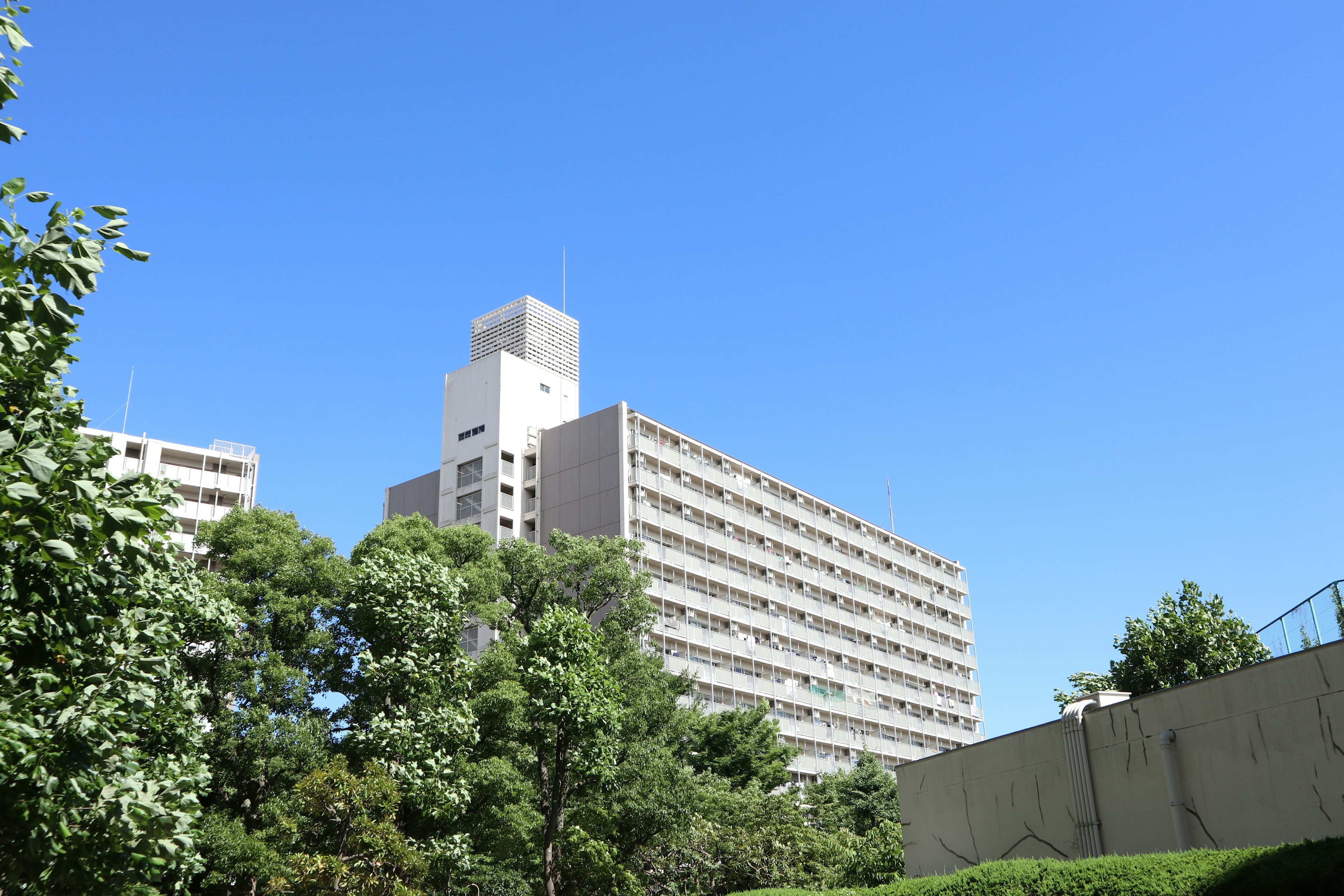 Modern building under a clear blue sky with green trees