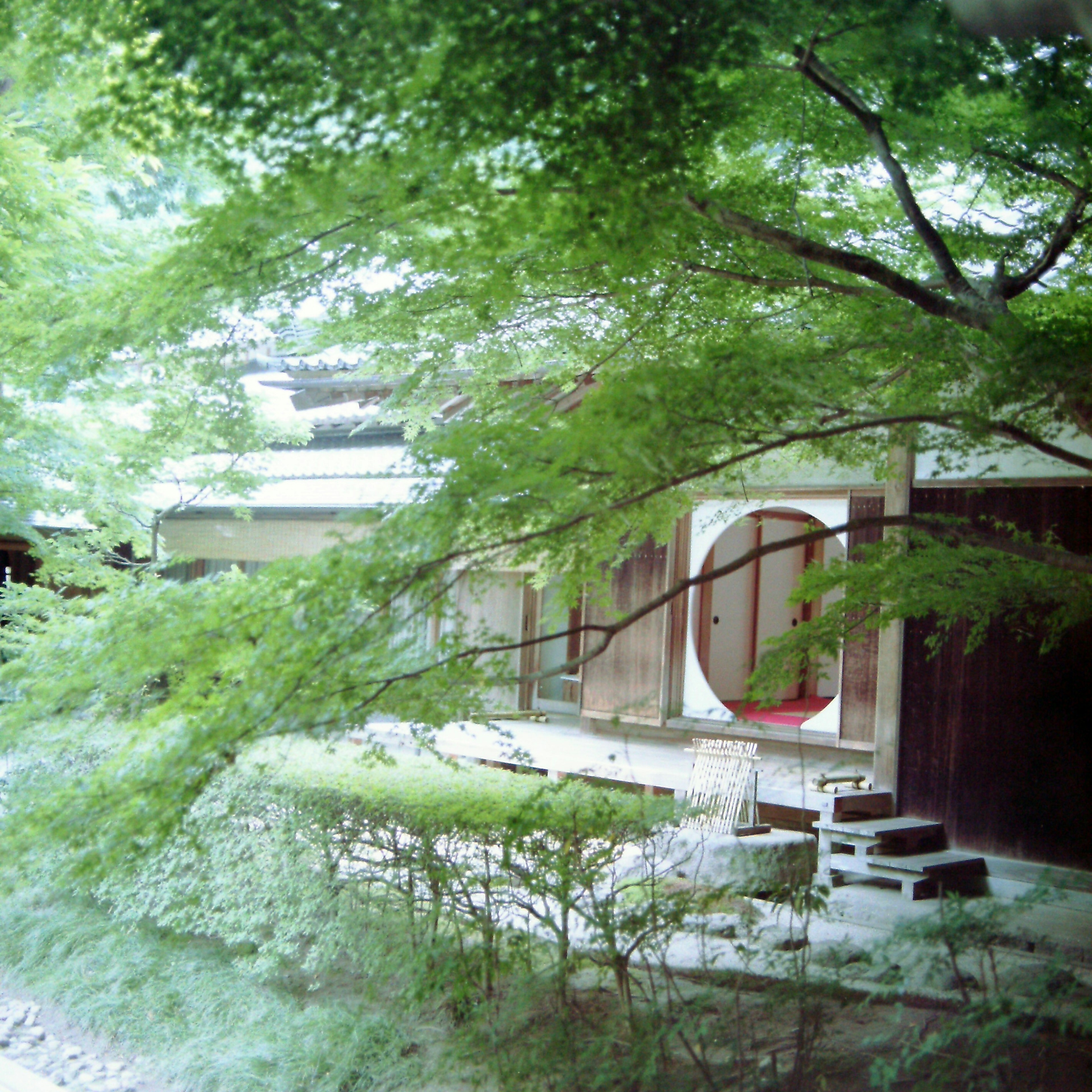 Casa giapponese tradizionale circondata da alberi verdi cuscino rosso visibile