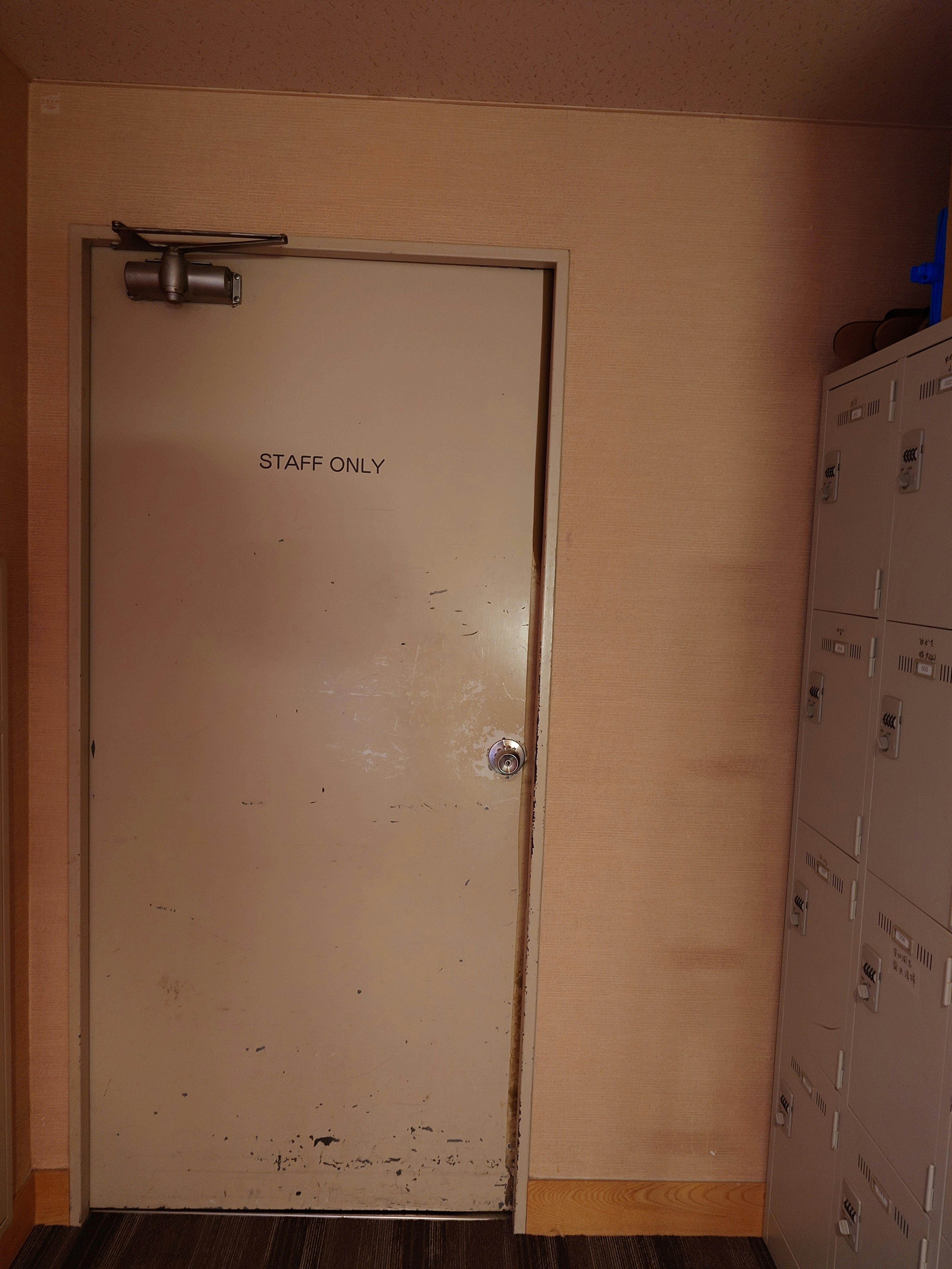 Interior with a metal door and lockers against light-colored walls