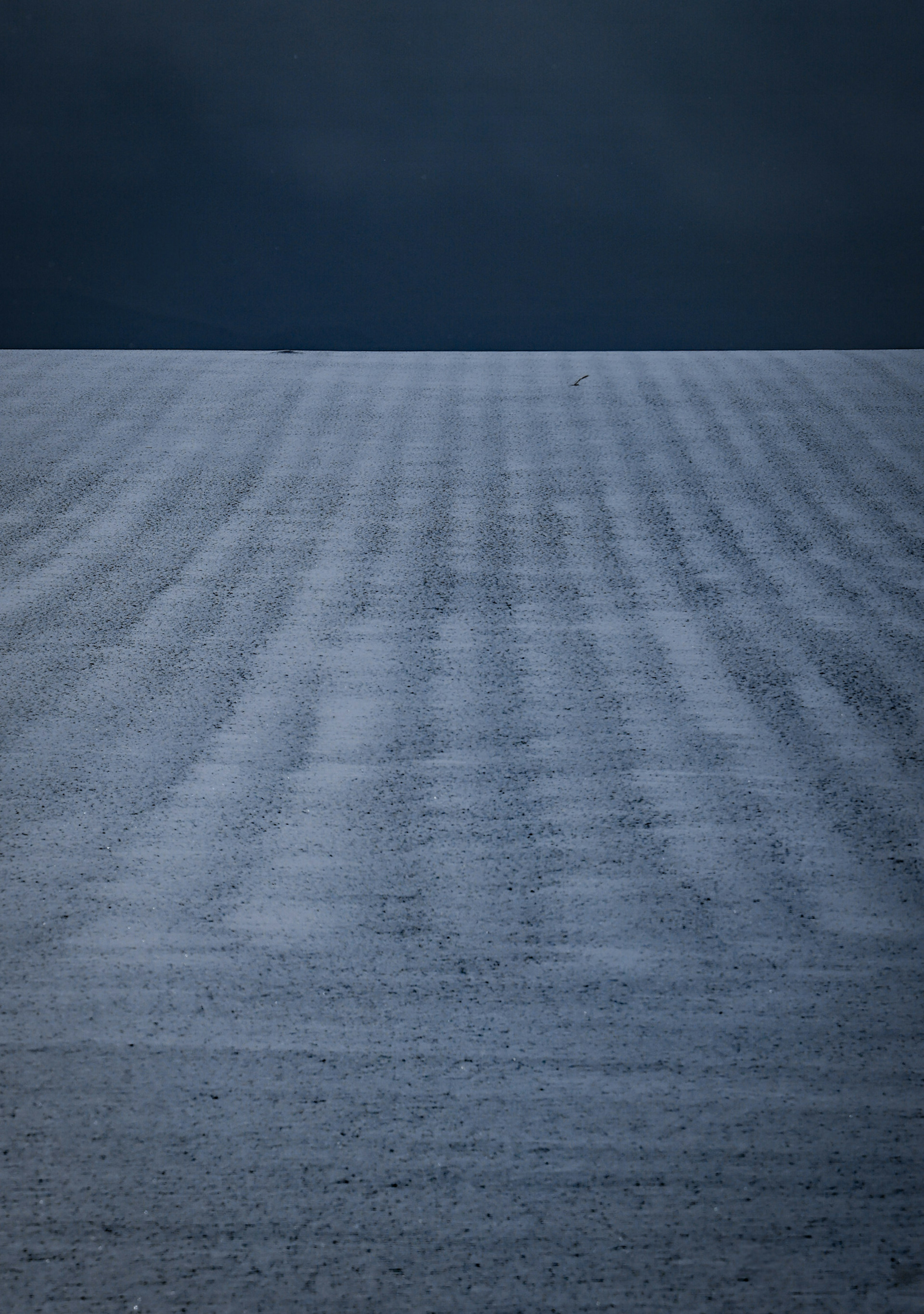 A serene landscape featuring a dark sky and calm sea horizon