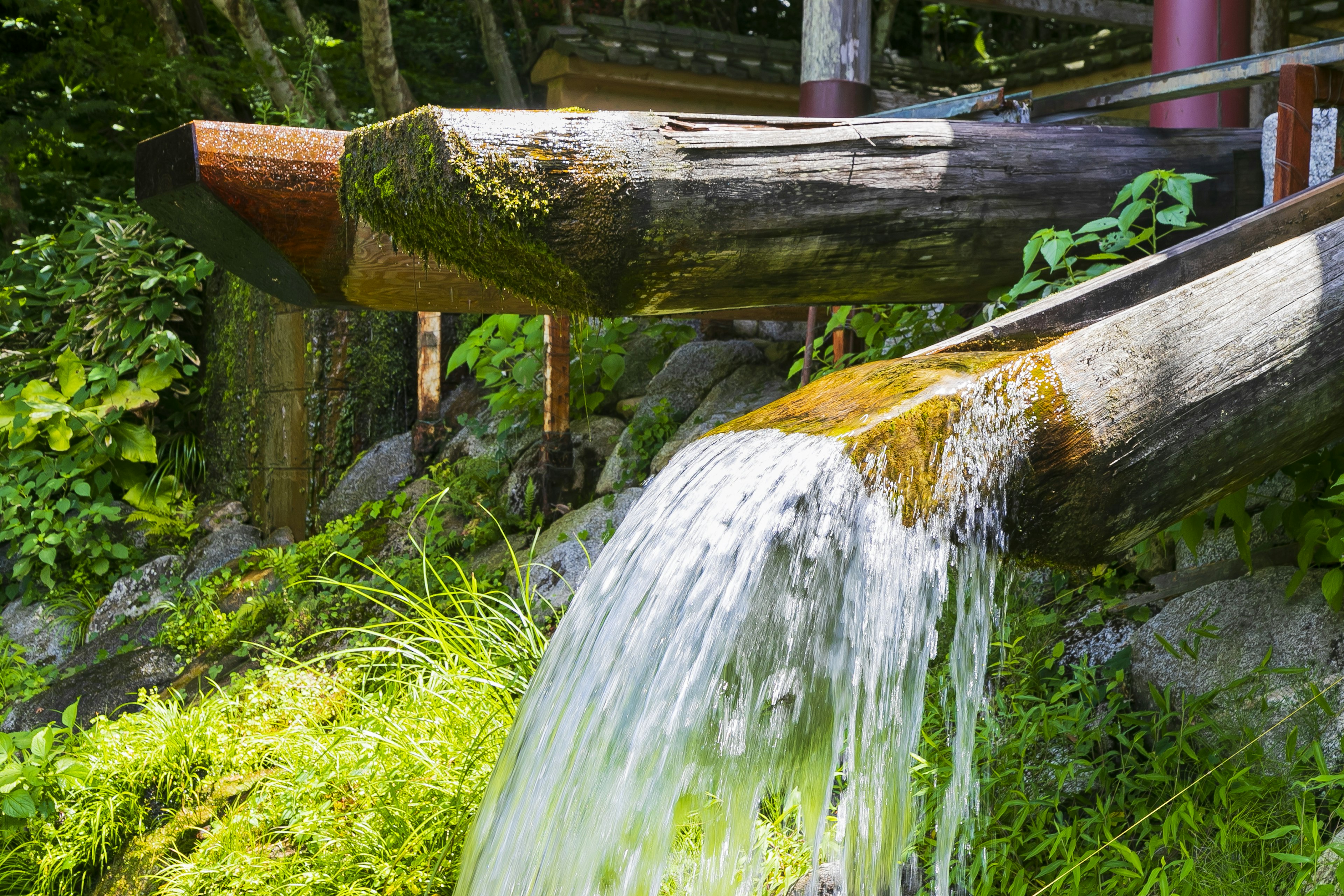 Water flowing over moss-covered wooden structure surrounded by greenery