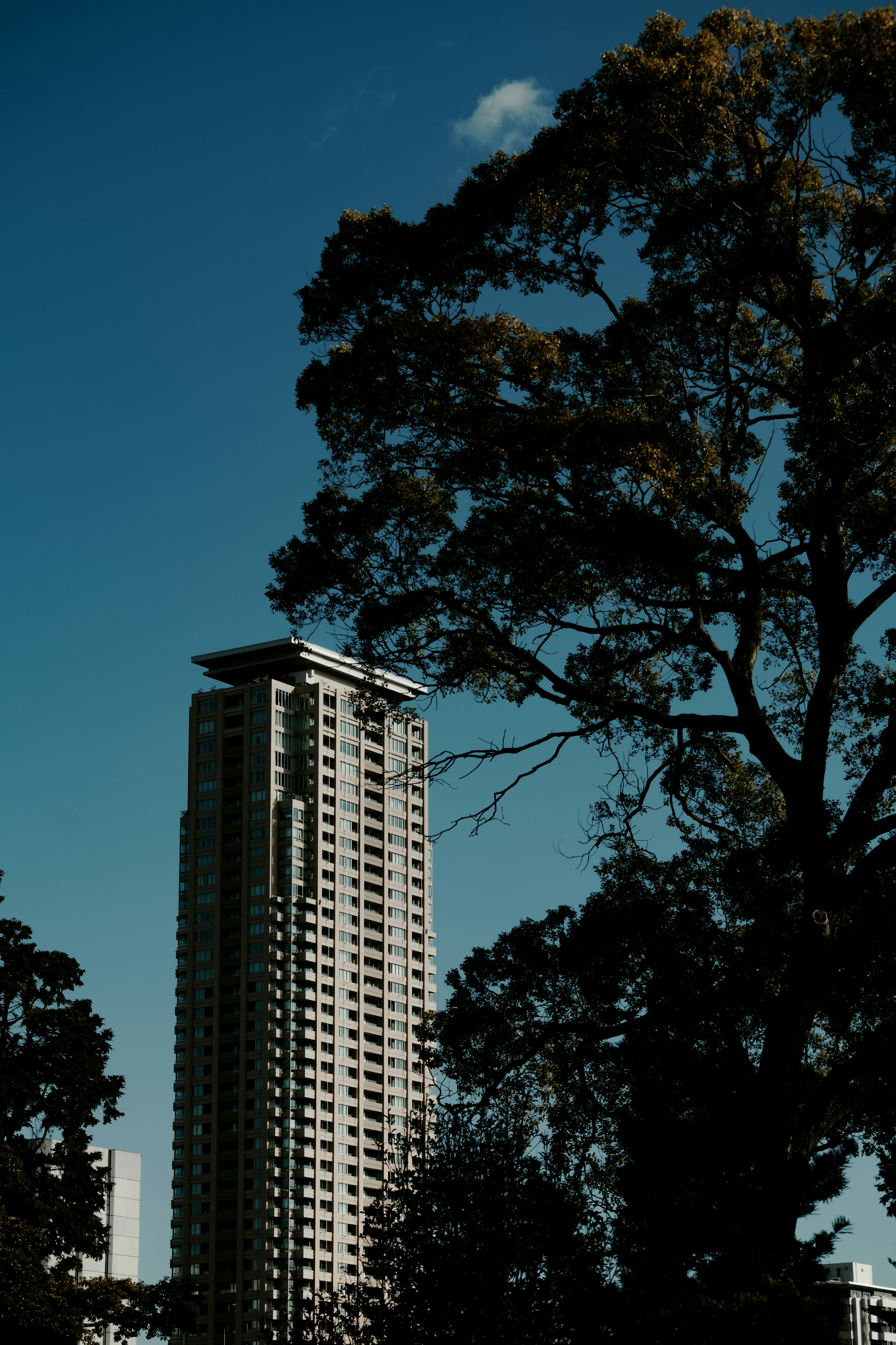 Bild zeigt ein hohes Gebäude vor blauem Himmel