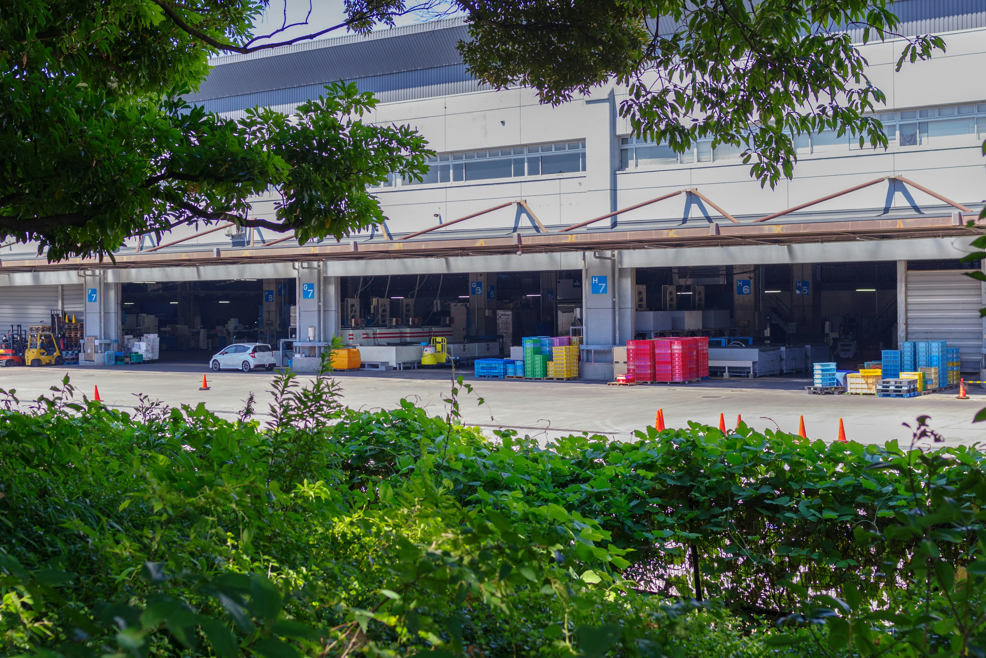 Warehouse exterior with colorful cargo containers lined up