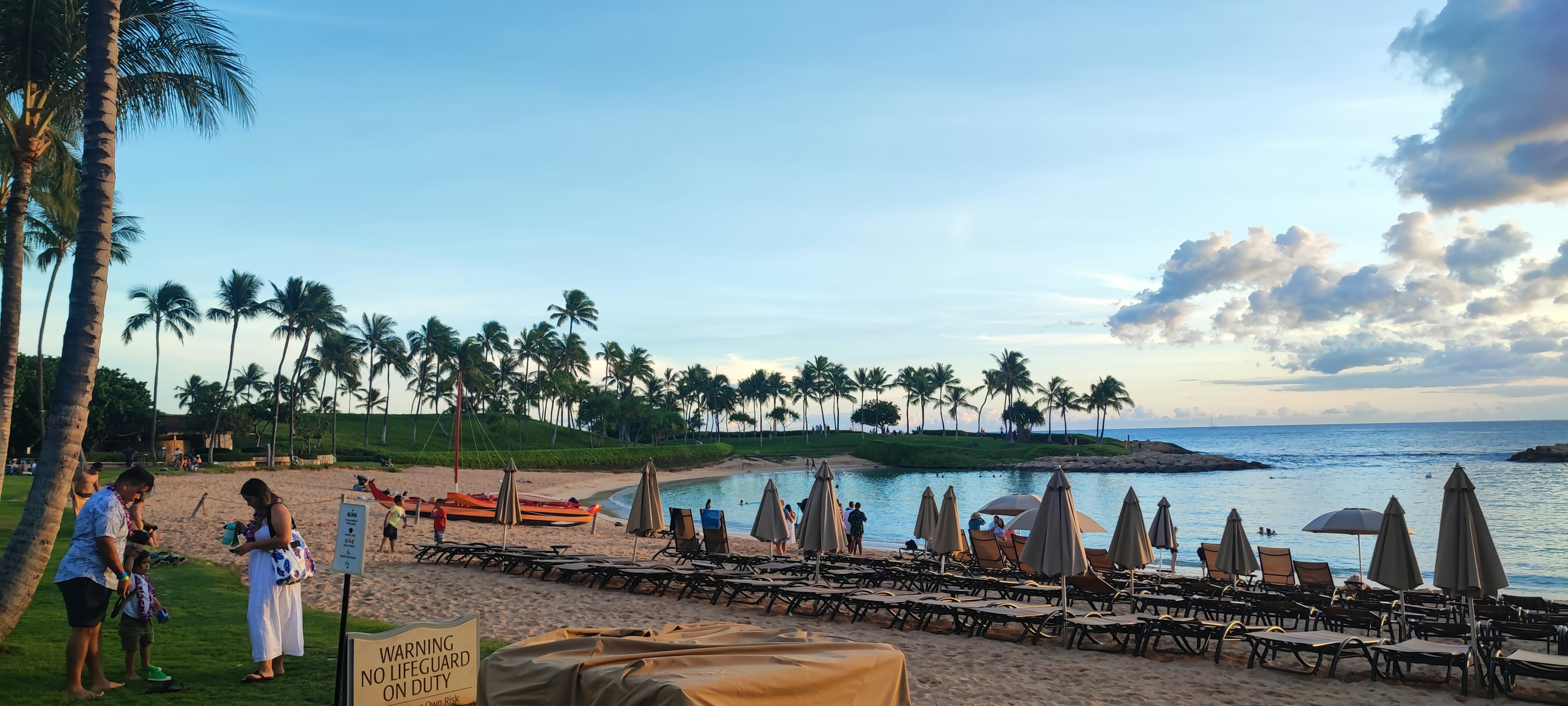 Vue de plage pittoresque avec des palmiers et des chaises longues créant une atmosphère relaxante