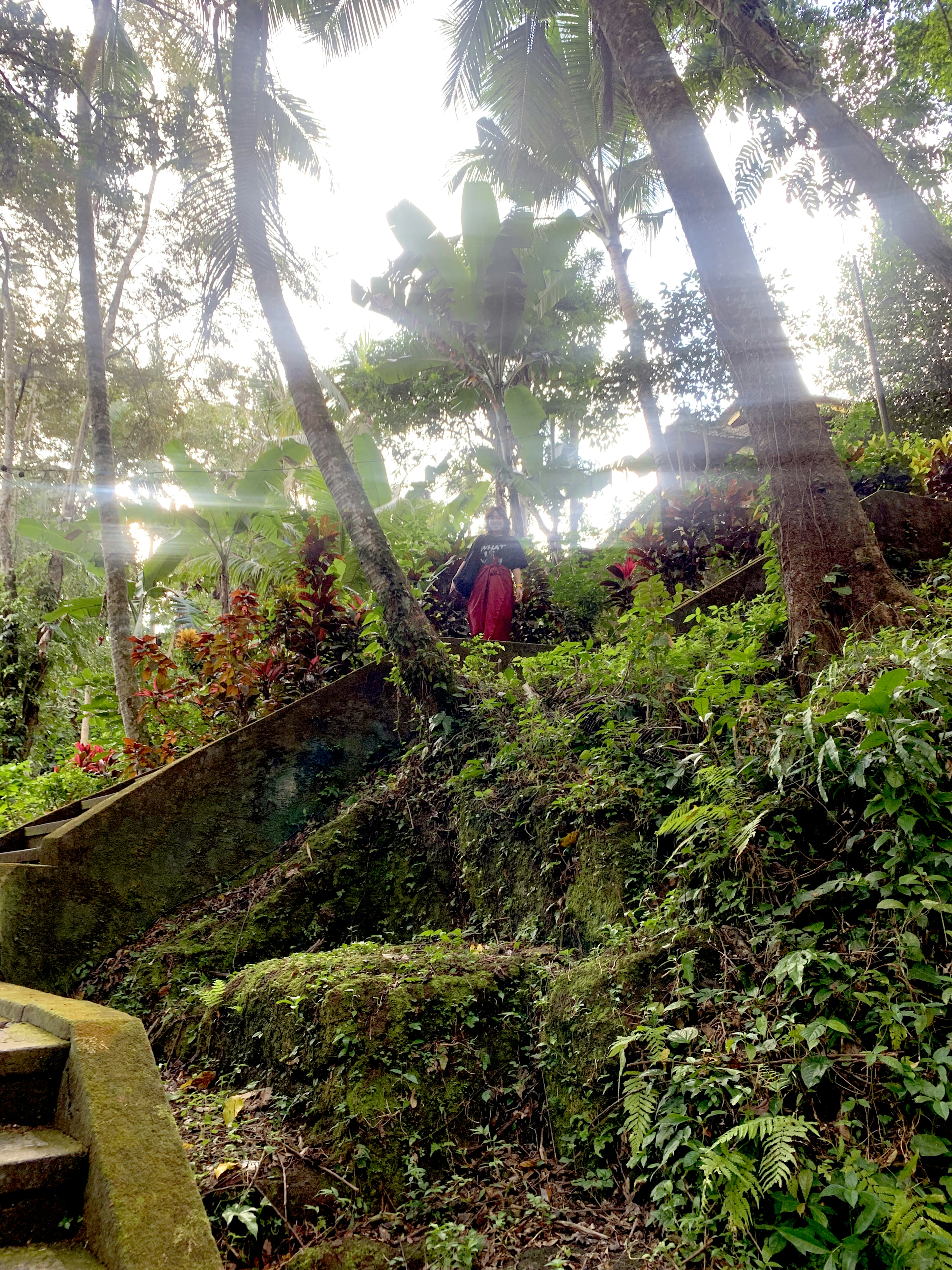 Persona subiendo una escalera de piedra rodeada de vegetación exuberante y plantas tropicales